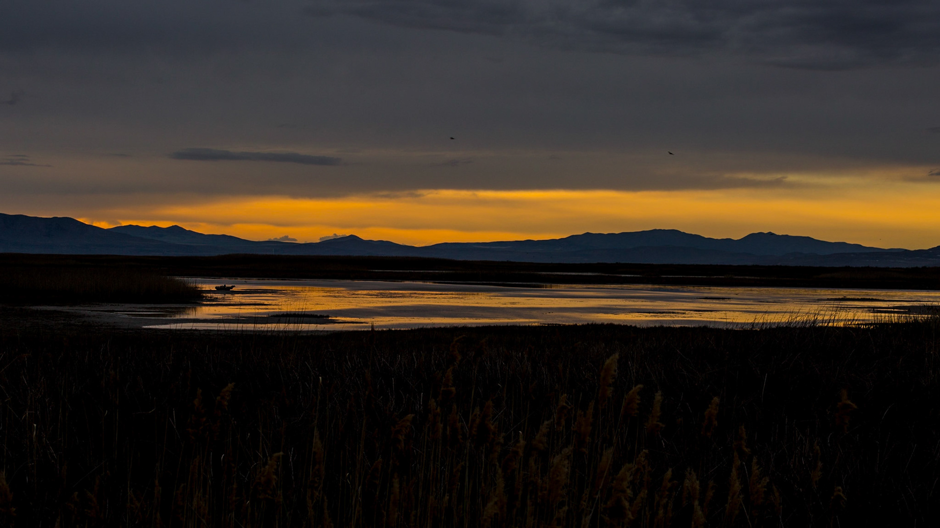 Ths sounds from the birds were amazing as the sunset.