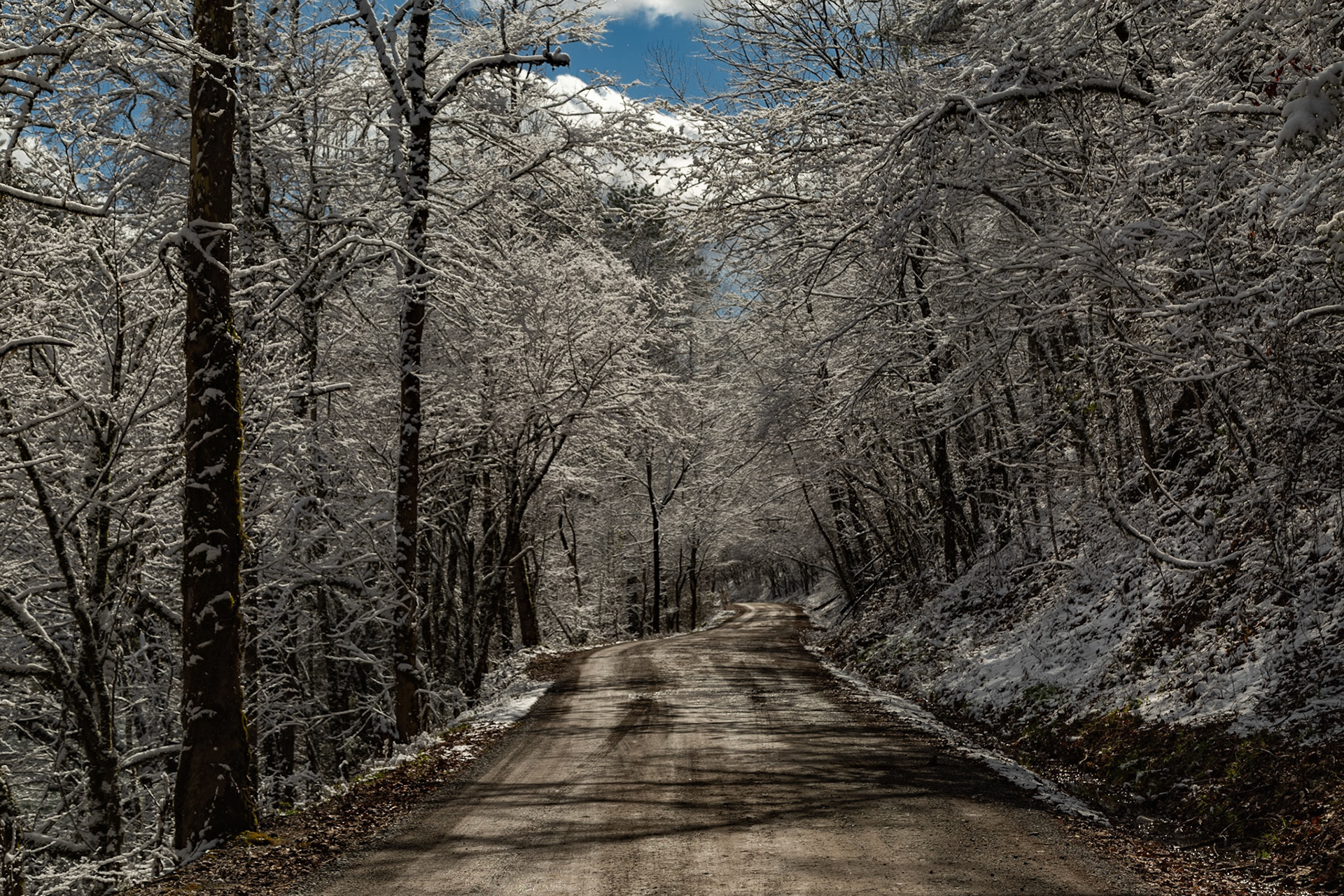 Citico Road at Duncan Branch