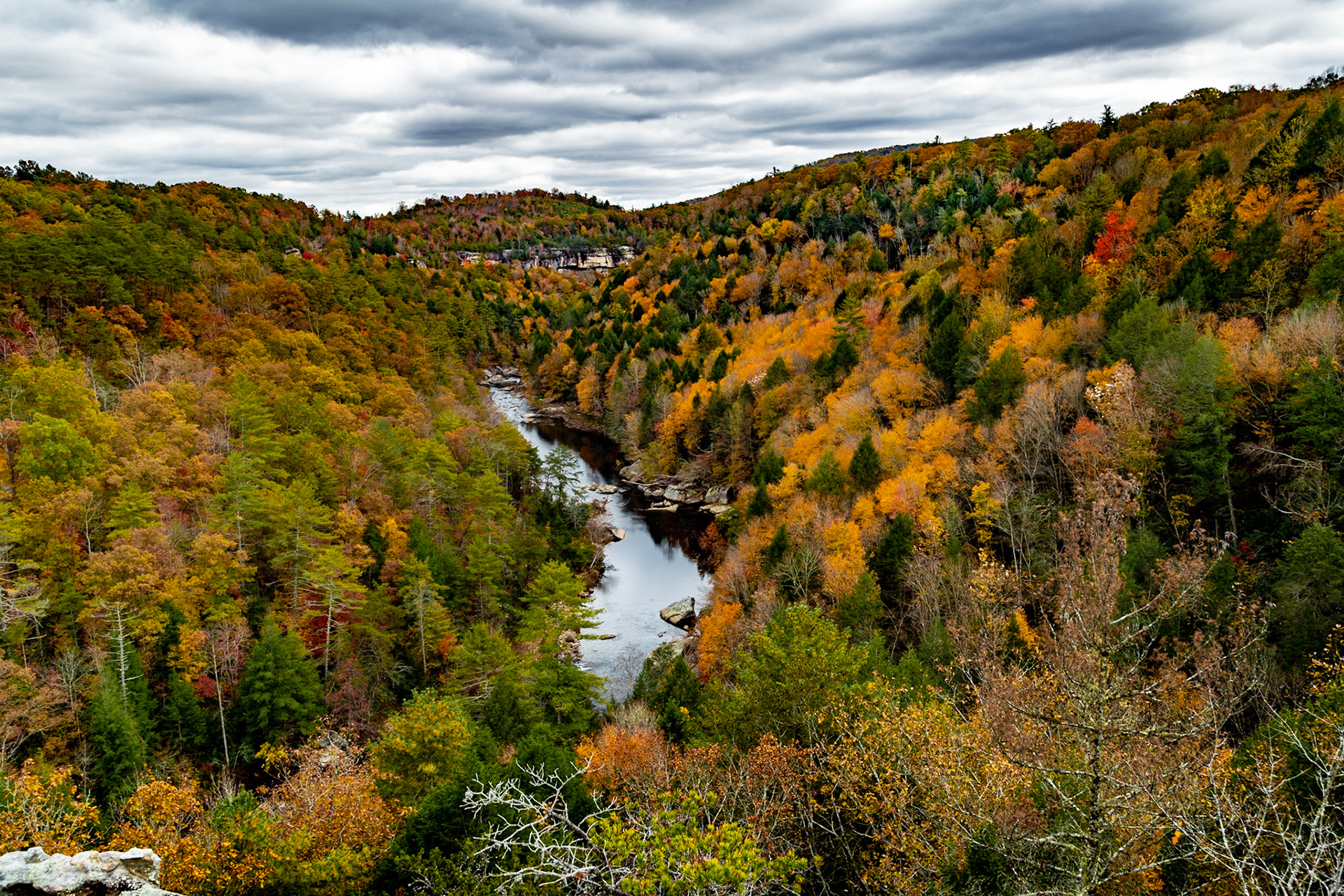 Obed Wild &amp; Scenic River from Lilly Bluff Overlook