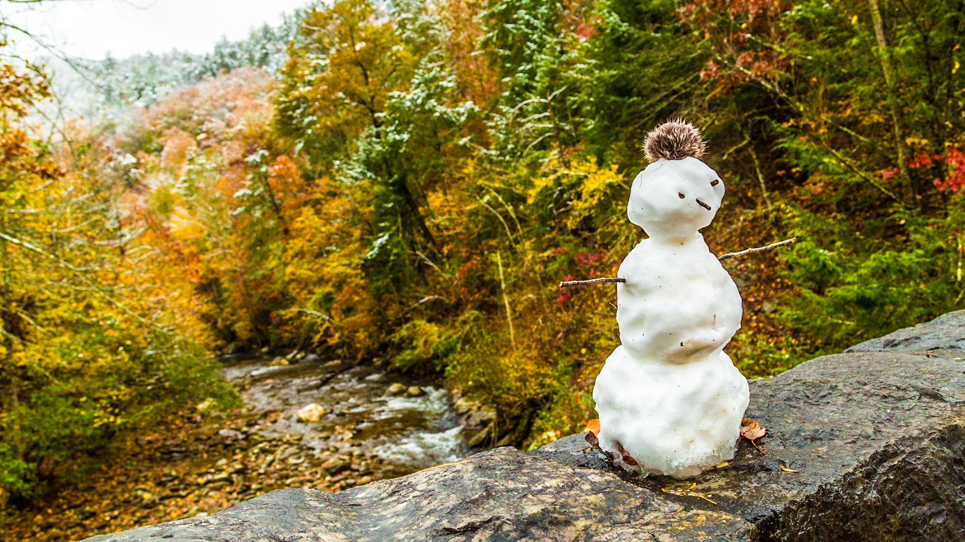 It was the day after Halloween, with considerable snow above 2,500 feet elevation.  Mt. LeConte had 22 inches.  All the Smoky Mountains National Park roads were closed.  We went to Townsend anyway.  The fall color was great.  At Cades Cove Road, it was time to walk for a bit.  Before leaving the area, we took a side trip to Wears Valley Methodist.