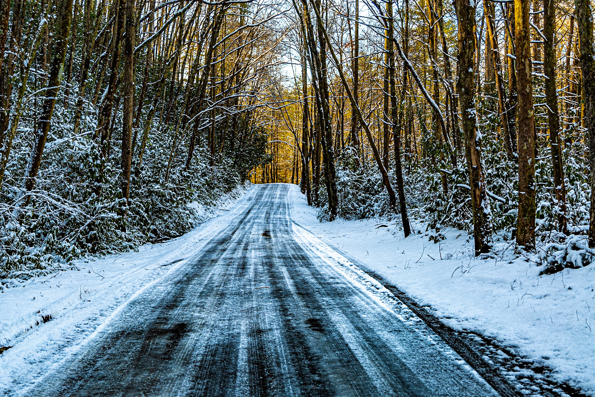 River Road by Tellico River