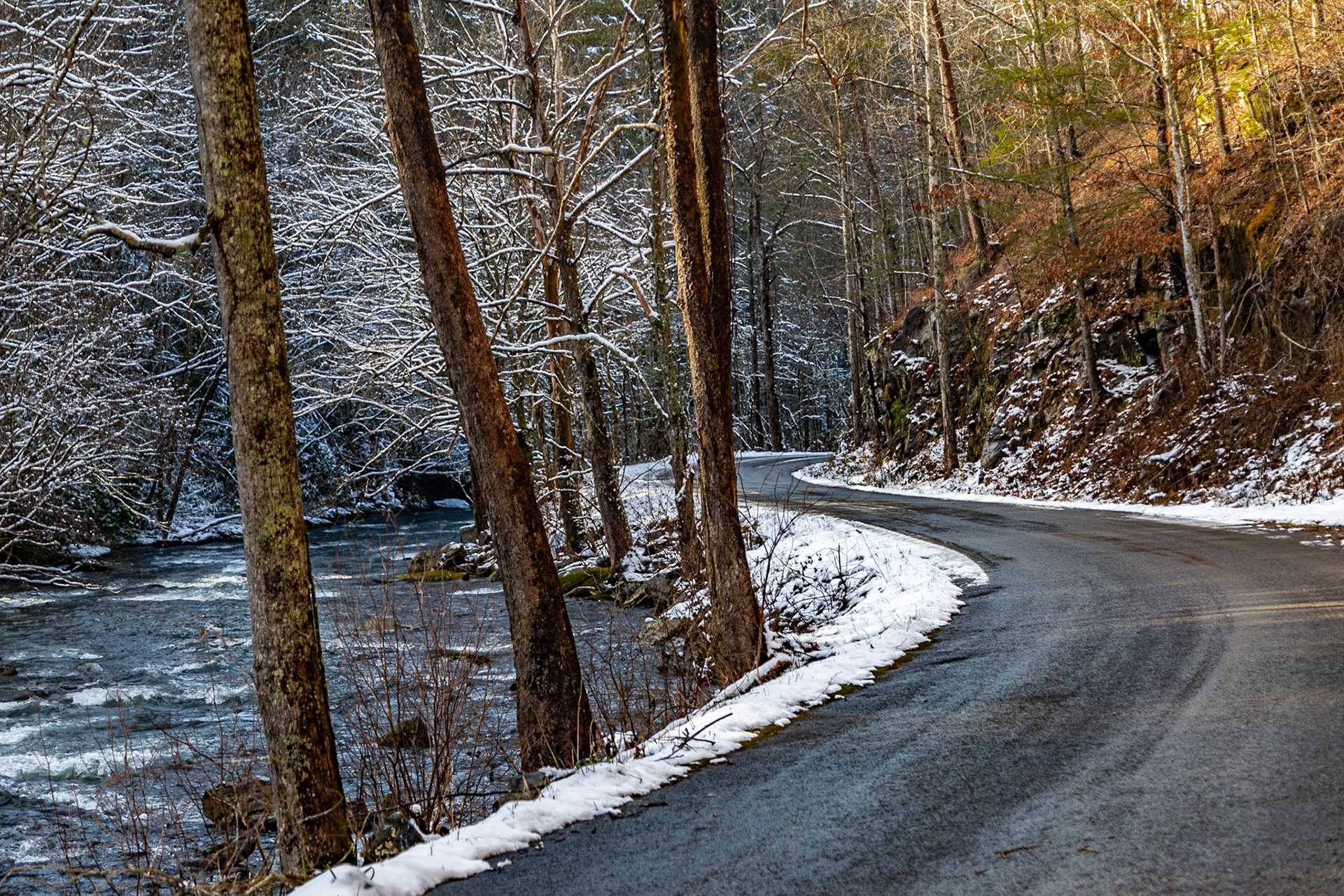 Tellico River and River Road