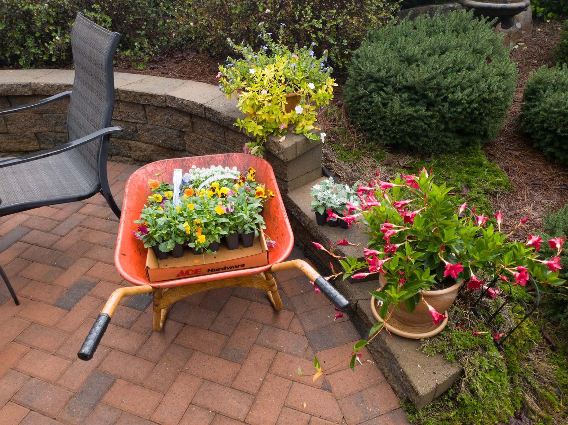 Christie Lewis has been shopping