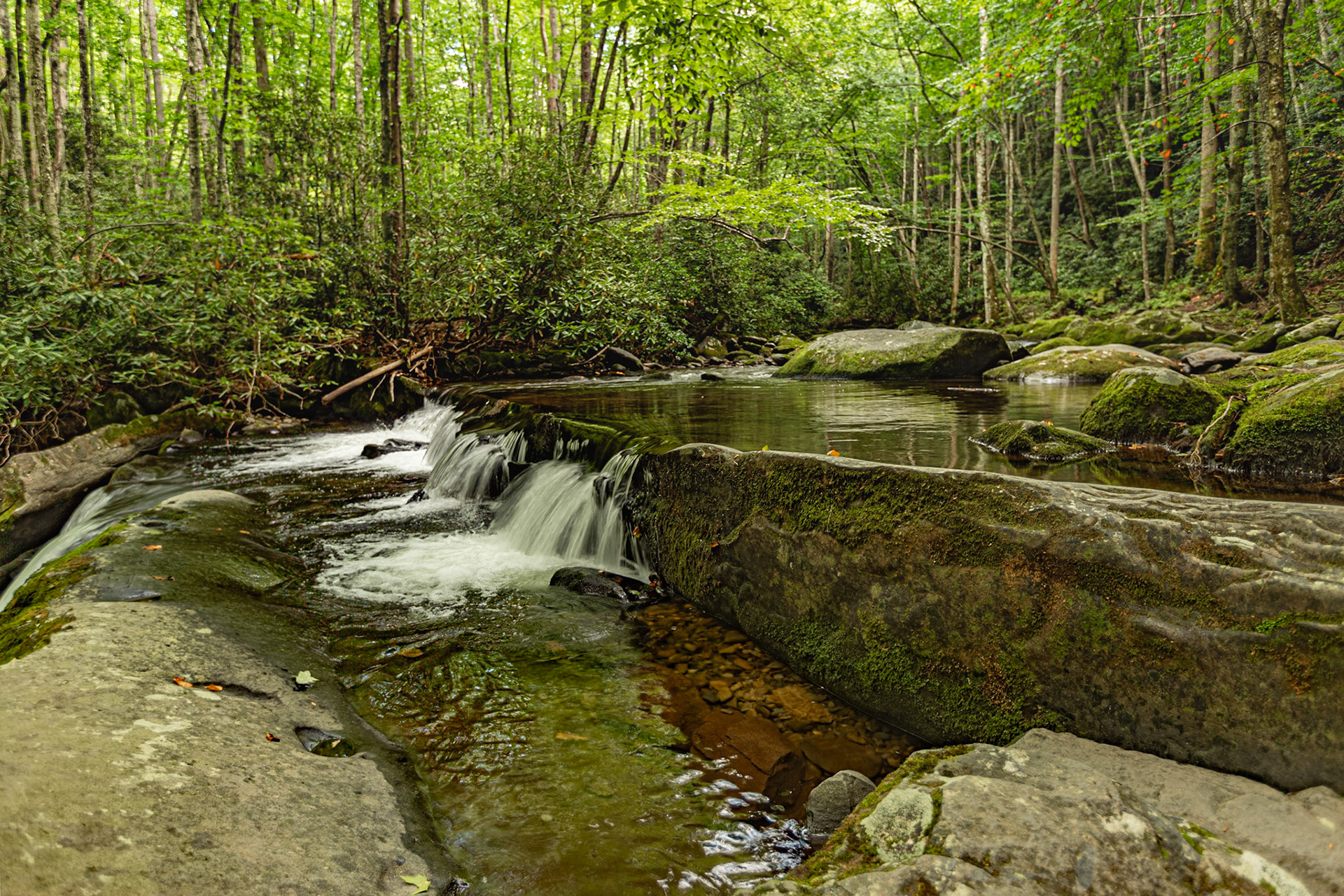 The Knoxville Tennessee airport has a water feature to greet visitor and those of us that call this area home. I wonder how many know that water feature must have been inspired by literally thousands of scenes similar to this in the Great Smoky Mountains National Park and Cherokee National Forest. August 18, 2022 was a great day to be in our Park.