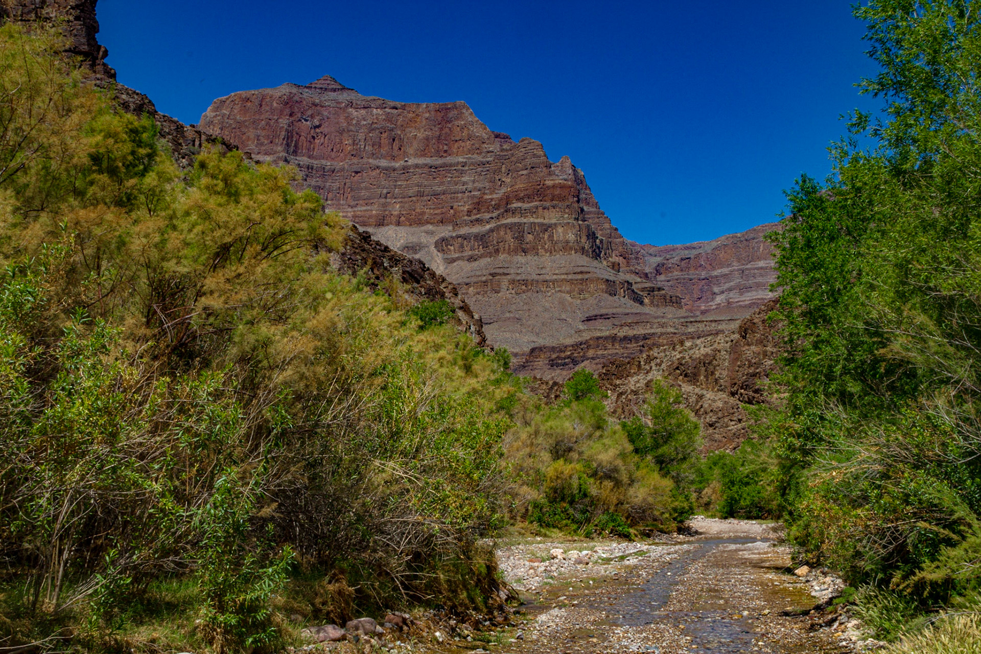 Diamond Creek Road to the Colorado River in The Grand Canyon, May 11, 2013 After the NAPFA Spring Conference in Las Vegas, I drove to Kingman for a night, followed by a trip into the Grand Canyon on the Hualapai Indian Reservation.  These images were taken along the Diamond Creek Road and at the Colorado River in the Grand Canyon