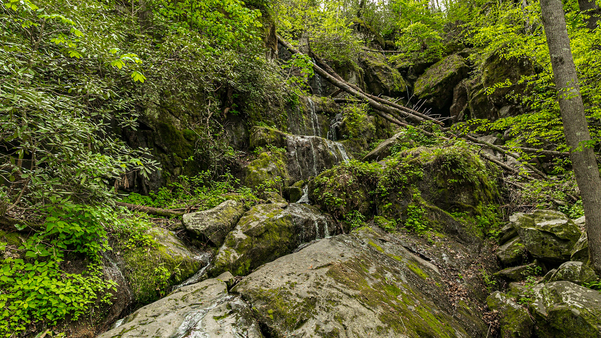 Roaring Fork Road, Gatlinburg, TN