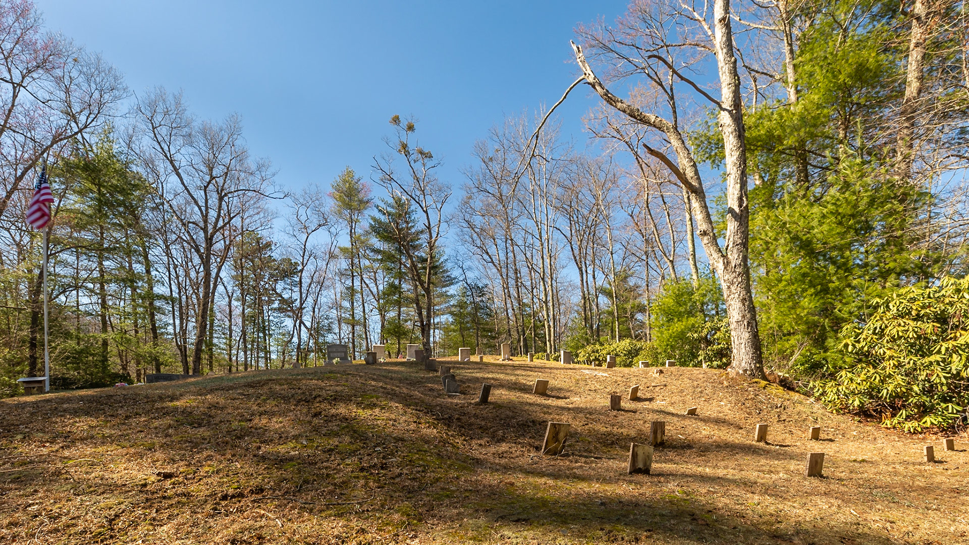 Cemetery at Green Cove Tabernacle