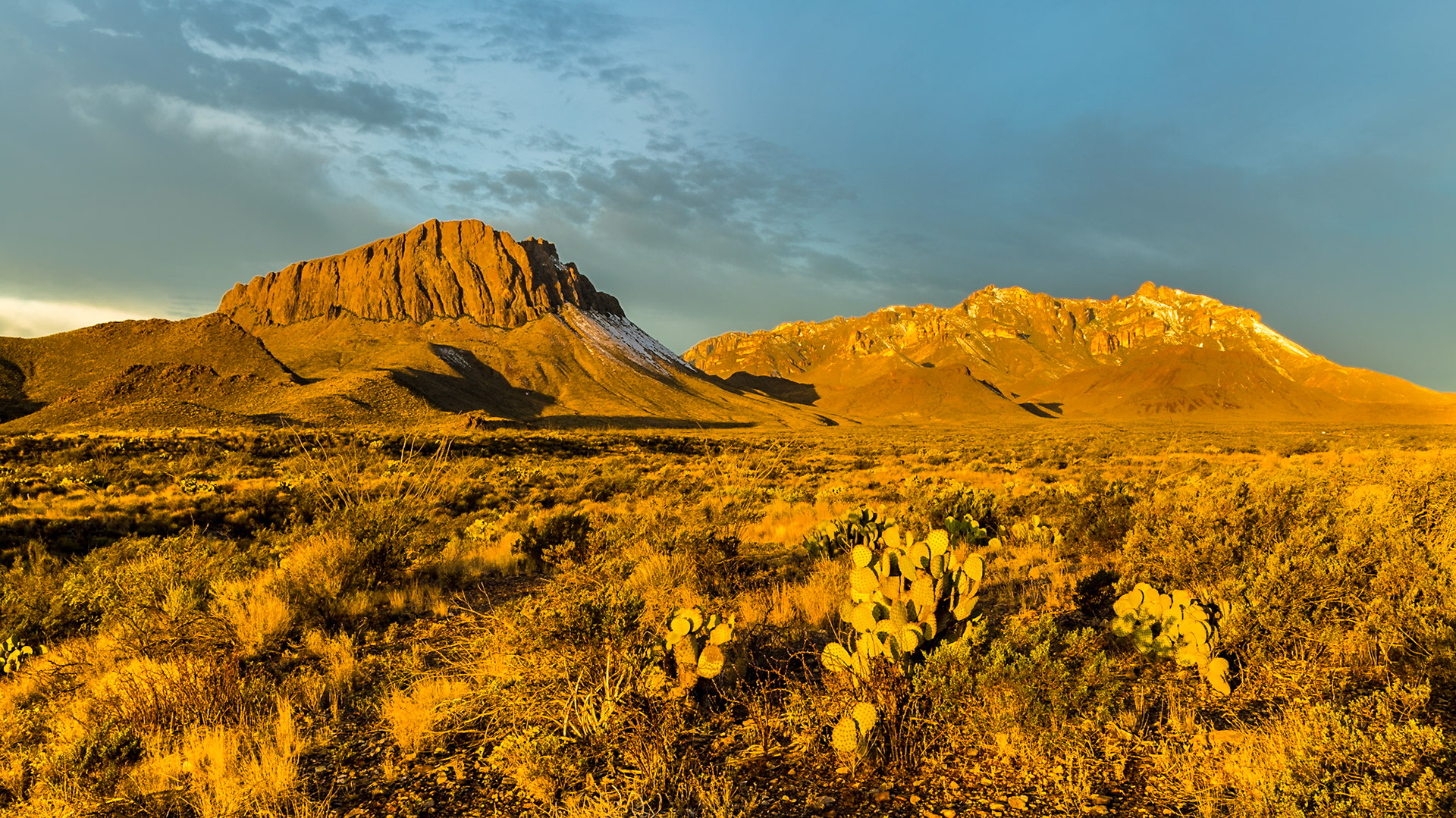 Mark Lewis got me out for a glorious sunrise on December 10 near Glen Spring Road, Big Bend National Park.  When the sun started hitting the Chisos Mountains, the feeling was magical.  Within minutes they and the cactus-filled landscape were bathed in golden light.  29°16'3" N 103°8'33" W; 7:51 AM
