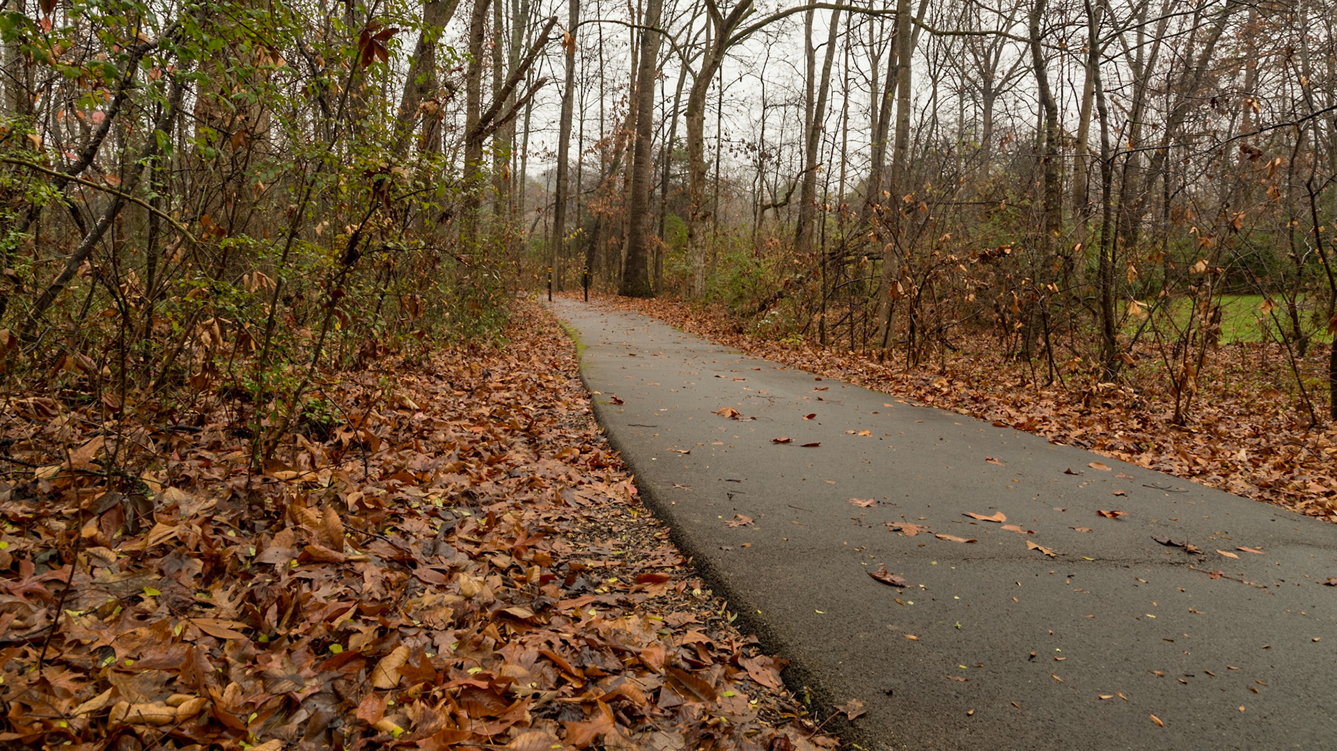 We have been in the house almost all of Christie's birthday today.  I kept looking outside, thinking how peaceful it looked.  Finally, I went for a short walk.  My fingers got cold and my butt got wet, setting on the ground to get down low.