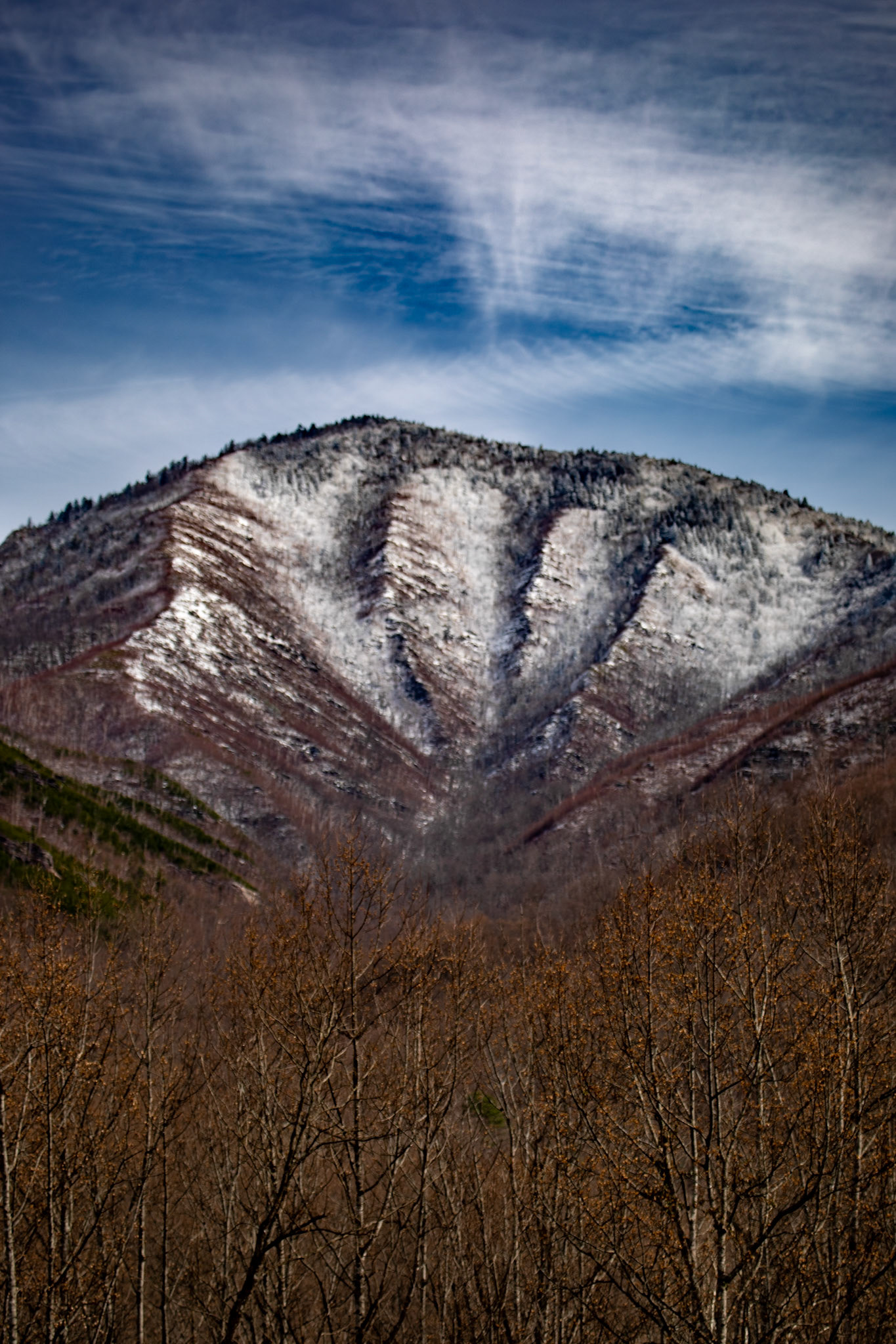 Carlos C. Campbell Overlook to Mt. LeConte, Great Smoky Mountains National Park, February 24, 2026