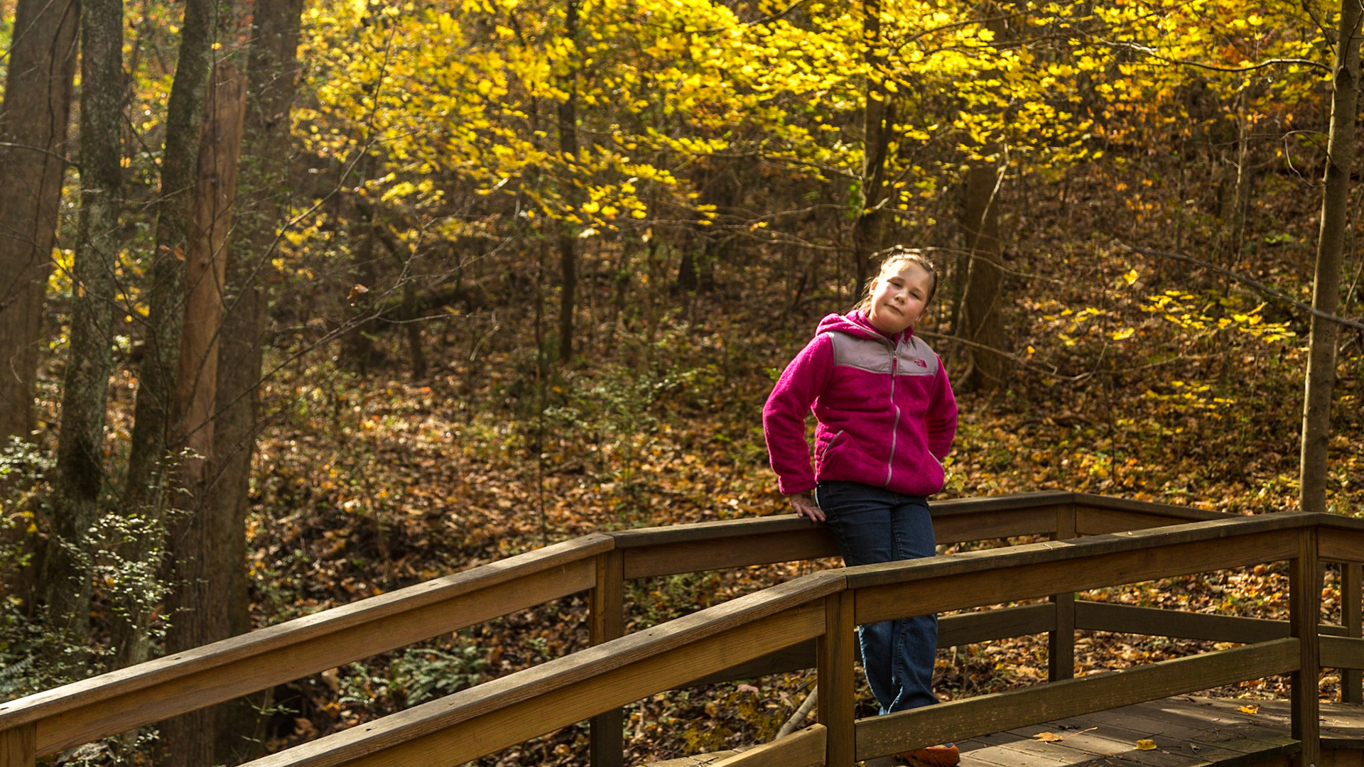 Saturday Morning, when Coit and his family visited.  Raven and I went to the Coytee area of the East Shore, Tellico Lake.  I have thought it would be a good trail to explore since I found the trailhead.  It turns out that the trail I wanted to take was Sinking Creek instead of Coytee, which goes the other way.