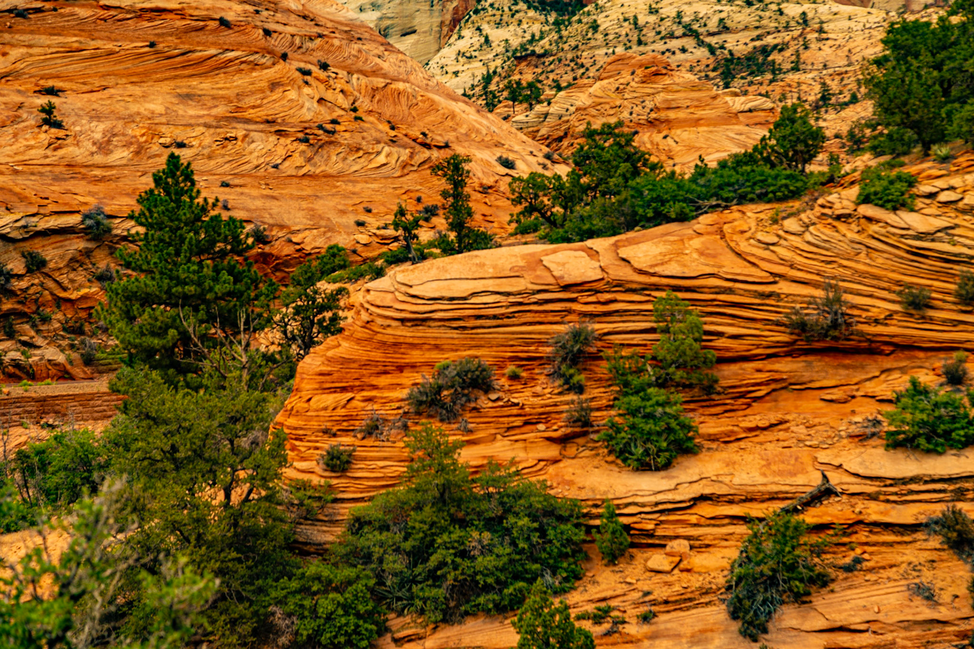 Zion National Park East Entrance Road
