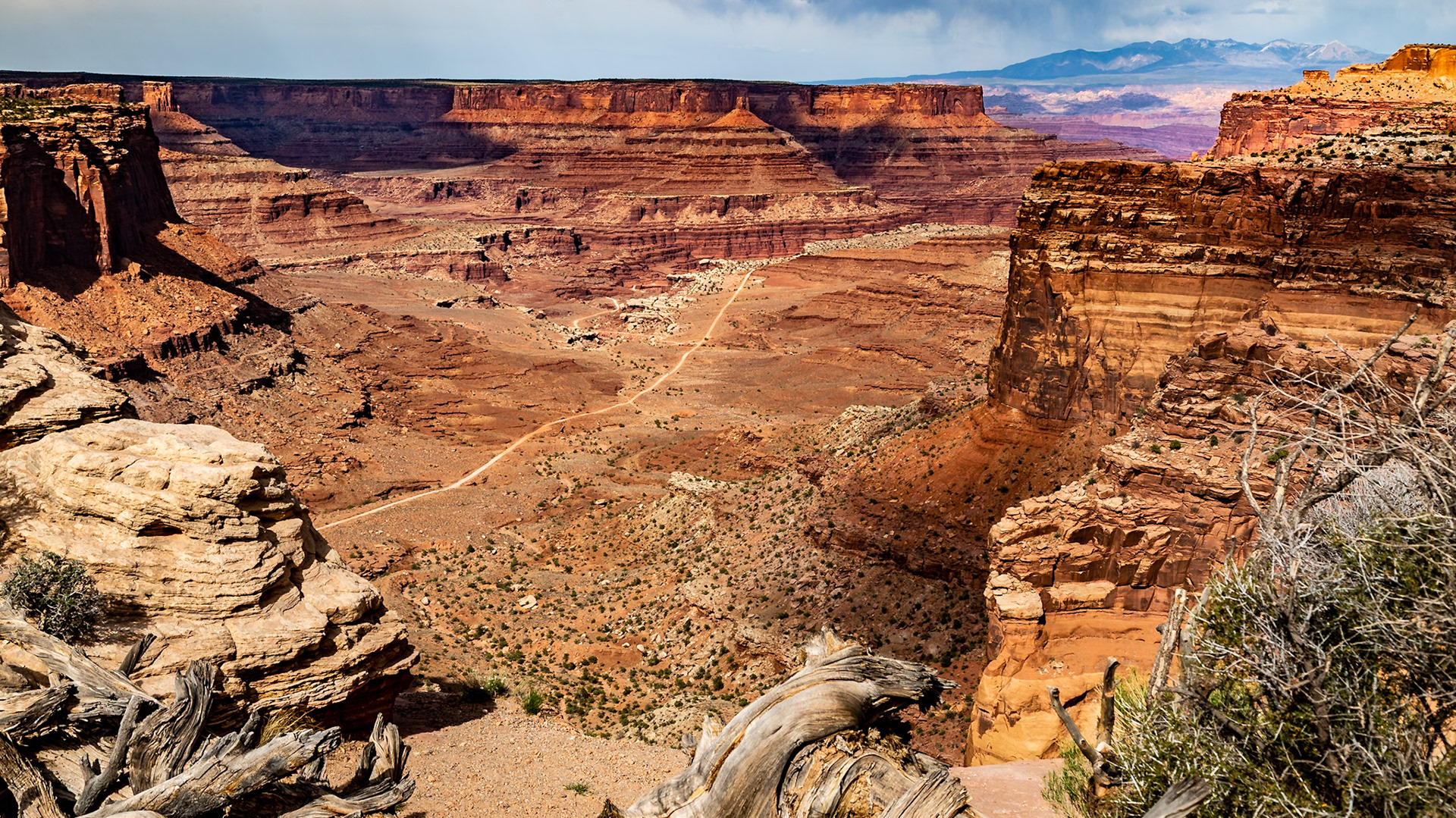 Shafer Road Overlook