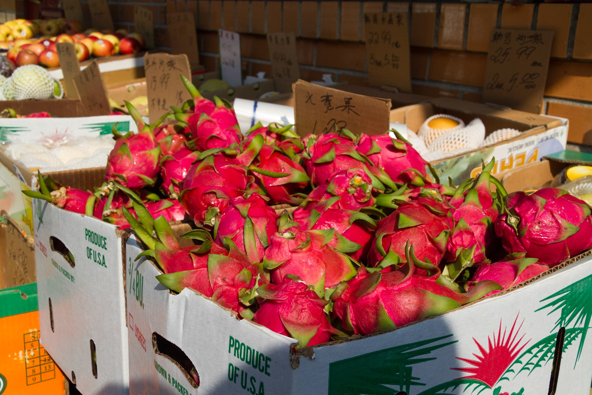 The day before the October 2013 NAPFA Board Meeting, I was in Philadelphia intending to shoot in Valley Forge National Park.  Because of a government shutdown, I spent the day walking the streets in downtown Philadelphia.