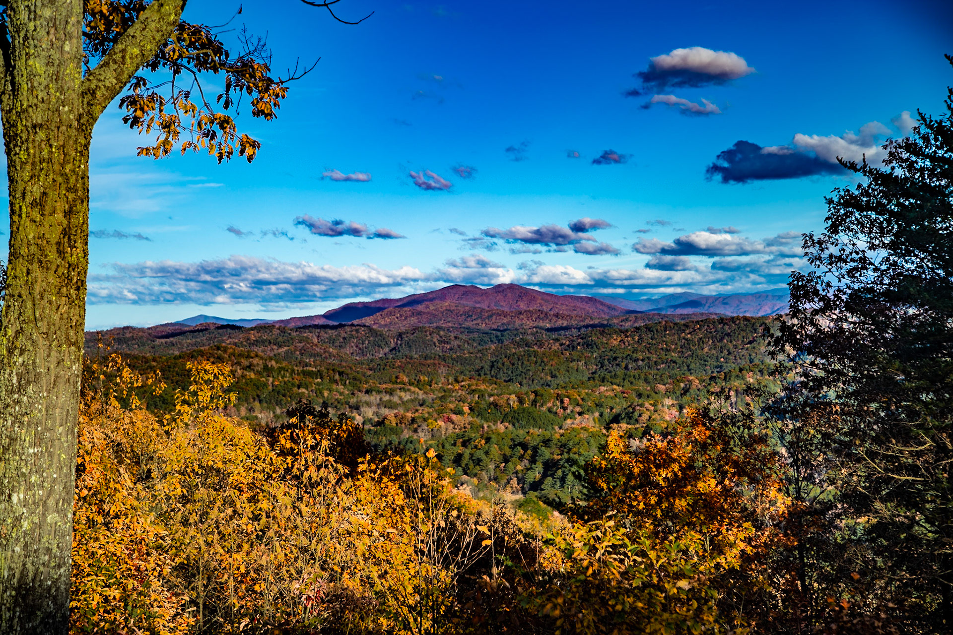 Foothills Parkway Southwest Parking #2