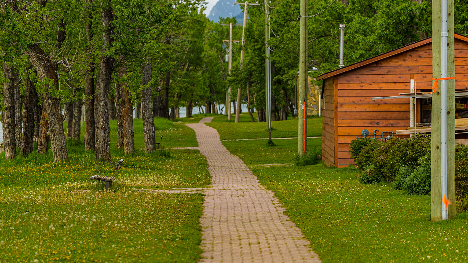 Walking from our hotel to breakfast, I got involved in finding a place to photograph the Prince of Wales Hotel, overlooking the town. Mark and I got separated for a while. The pictures of the hotel were not very satisfying. I did get two centerline shots. One was Waterton Avenue, near the place we were to eat. The other was a walking trail along the lake. When Mark and I found each other, a dud was giving him a line of bull about his personal life adventures. The couple I heard were highly improbable. It was funny. We were ready for breakfast.