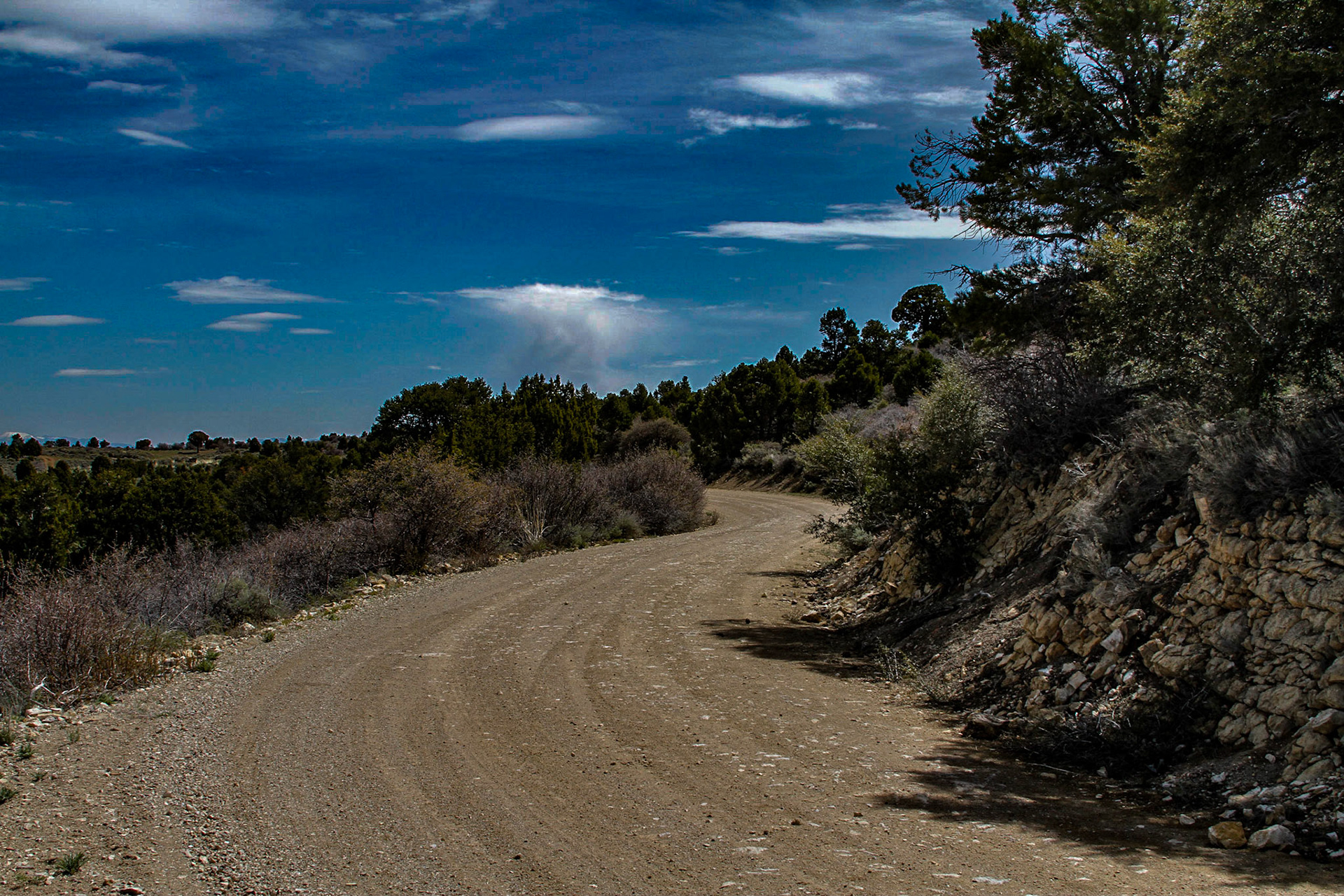 Hamilton Nevada, National Forest Road 401, May 21, 2011