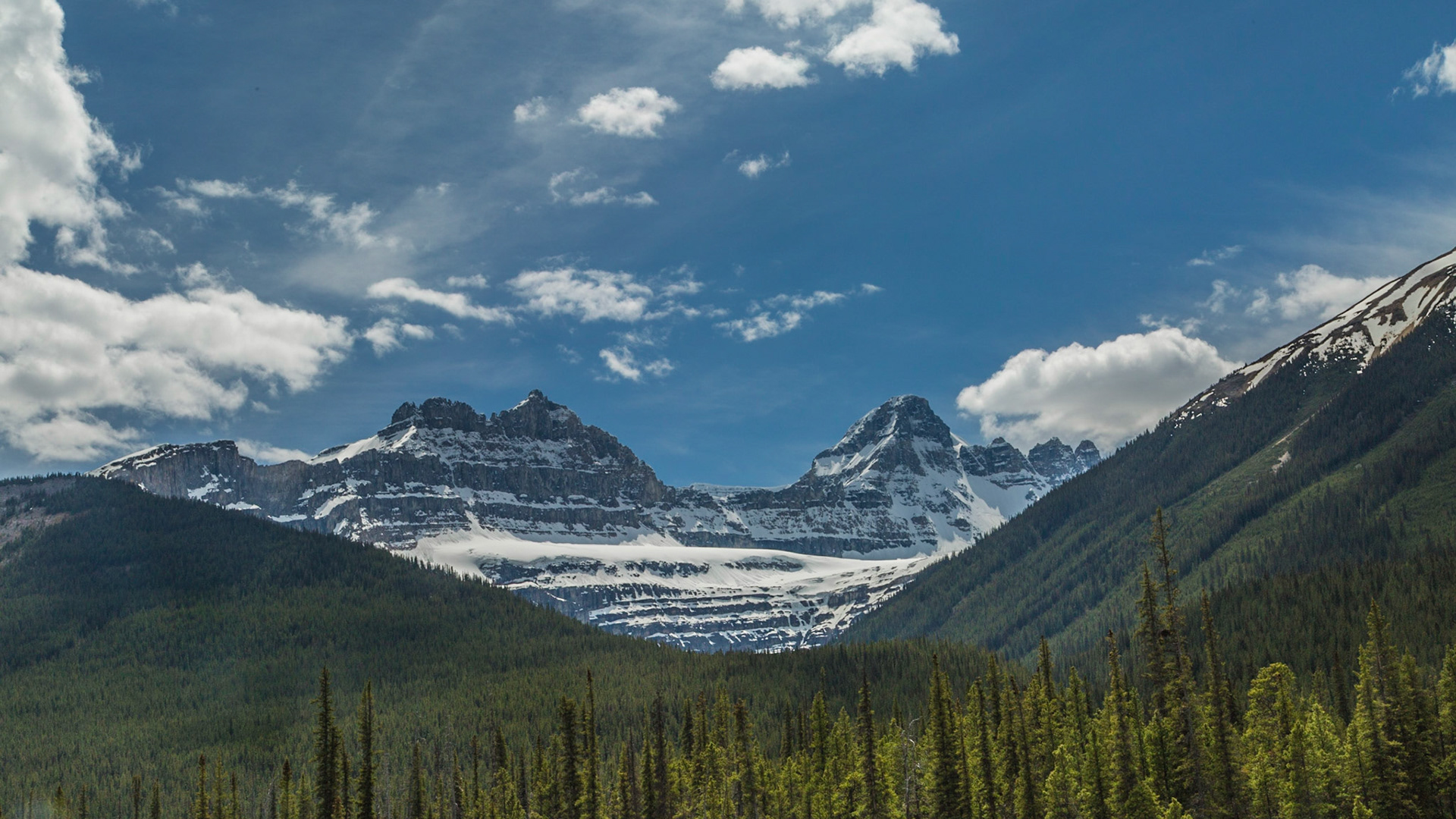 All along the Icefield Parkway, there are overlooks to enjoy the scenery.  This is one where we stopped for a while.  Beyond the peaks is a vast ice field that covers many square miles.  I felt this image was simply worth editing, even though I have little information about the specific location.