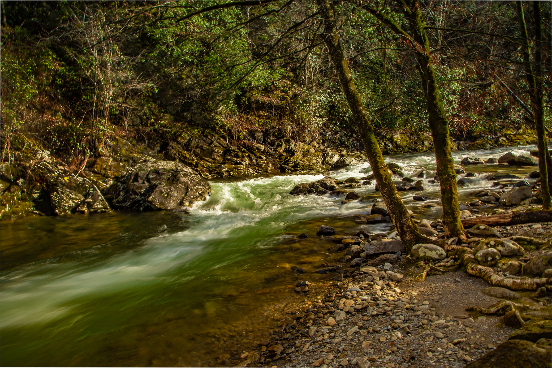 Sometime God gives me a chance to capture a small fraction of his wonders.  If I do my part, I can share the gift with others.  Be thankful that these wonders are created and preserved for all of us.