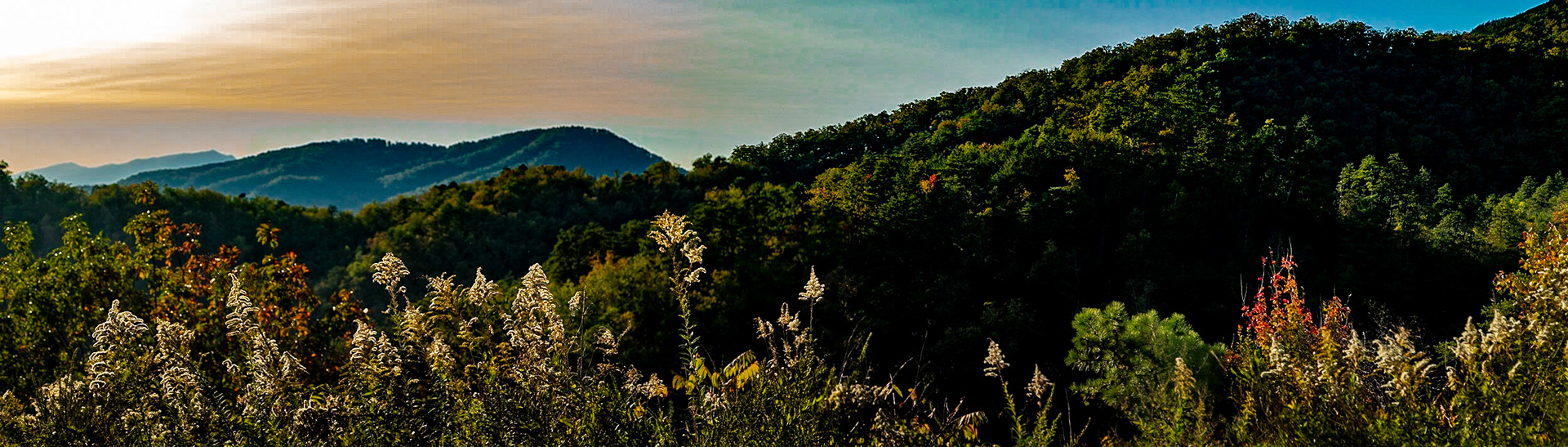 The Preserve at English Mountain