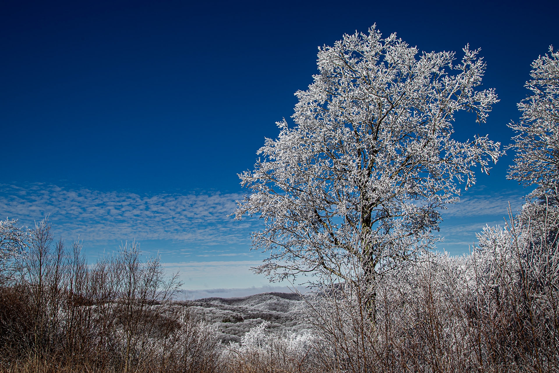 Cherohala Skyway, First Overlook after Entering North Carolina from Tennessee,  January 7, 2025
