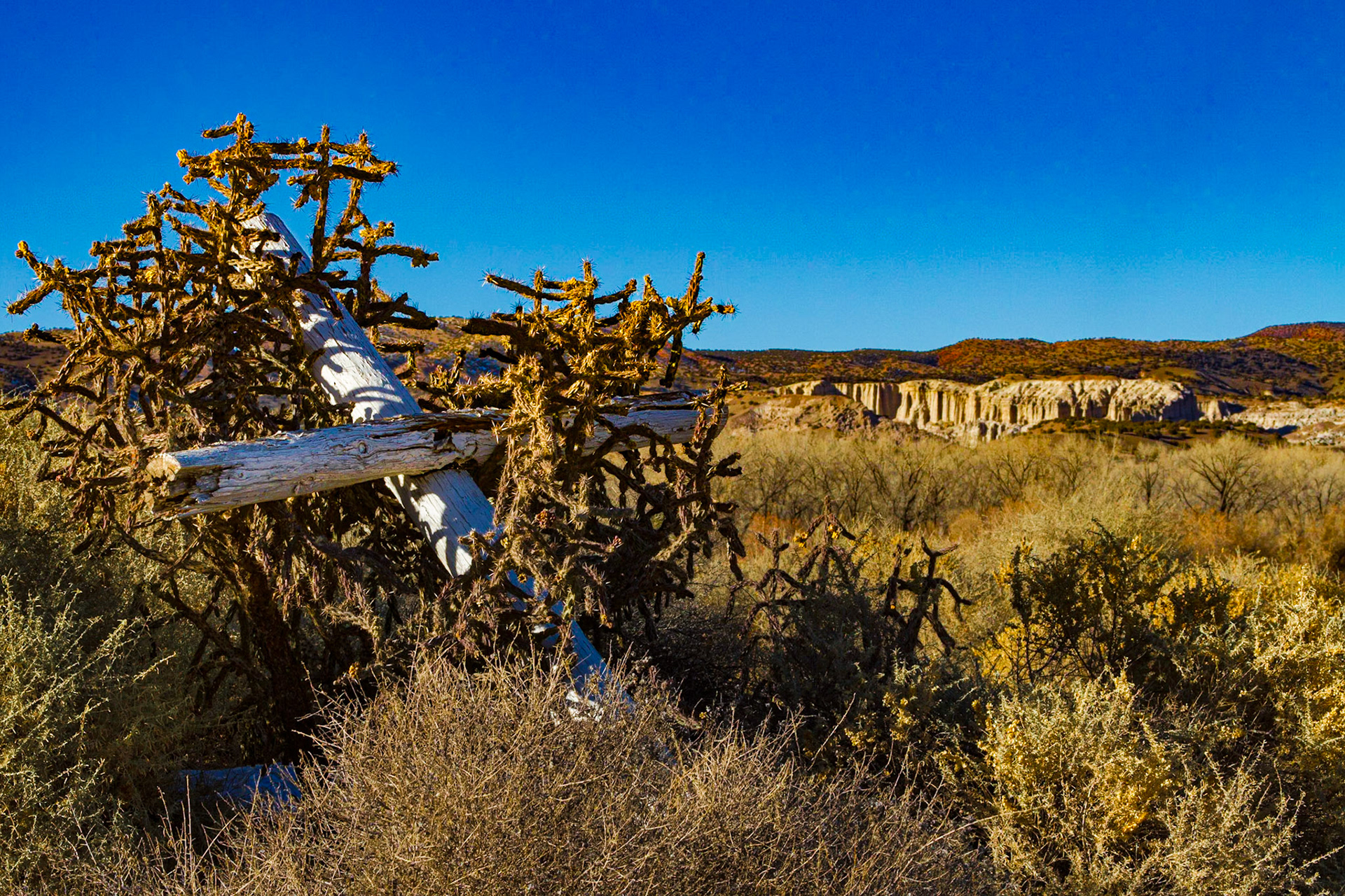 Our first stop on our first morning in Santa Fe was the Georgia O'Keeffe Museum, where the tour and short films gave us a deeper understanding of her contribution to art.  The time in the museum inspired our drive to Abiquiu that afternoon.  Later, we went on to Ghost Ranch, where O'Keeffe stayed before she acquired and essentially rebuilt her home at Abiquiu.