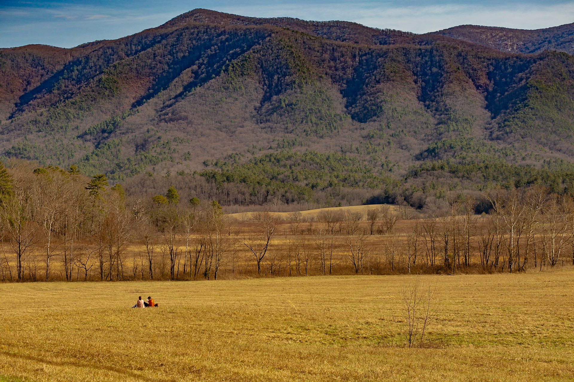 Valintine Day in Cades Cove 2023