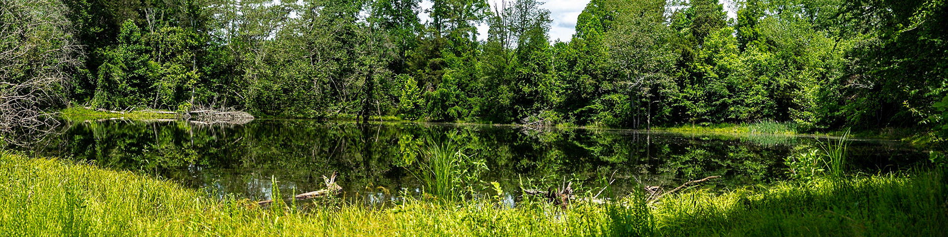 It was a great day in Chuck Swan Wildlife Management Area with Mark Lewis. On the way there, the old A.T. Cole Store was open.  We met a gentleman there who knew the Mark Lewis who was my father and Mark's grandfather.  We could mention others we both have known from my high school days.