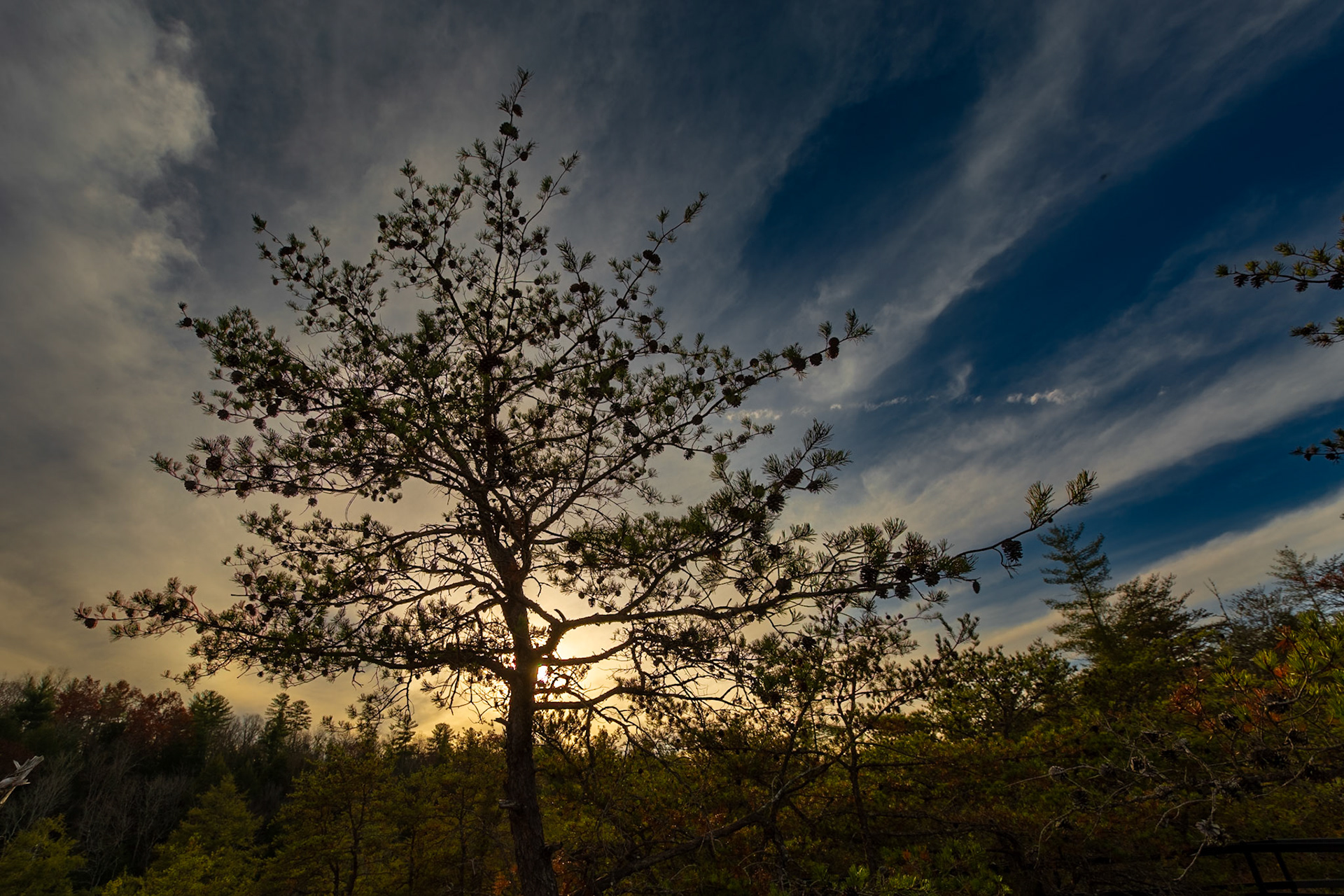 Sunset at Lilly Bridge Overlook with Christie, Obed Wild and Scenic River National Park, November 13, 2023