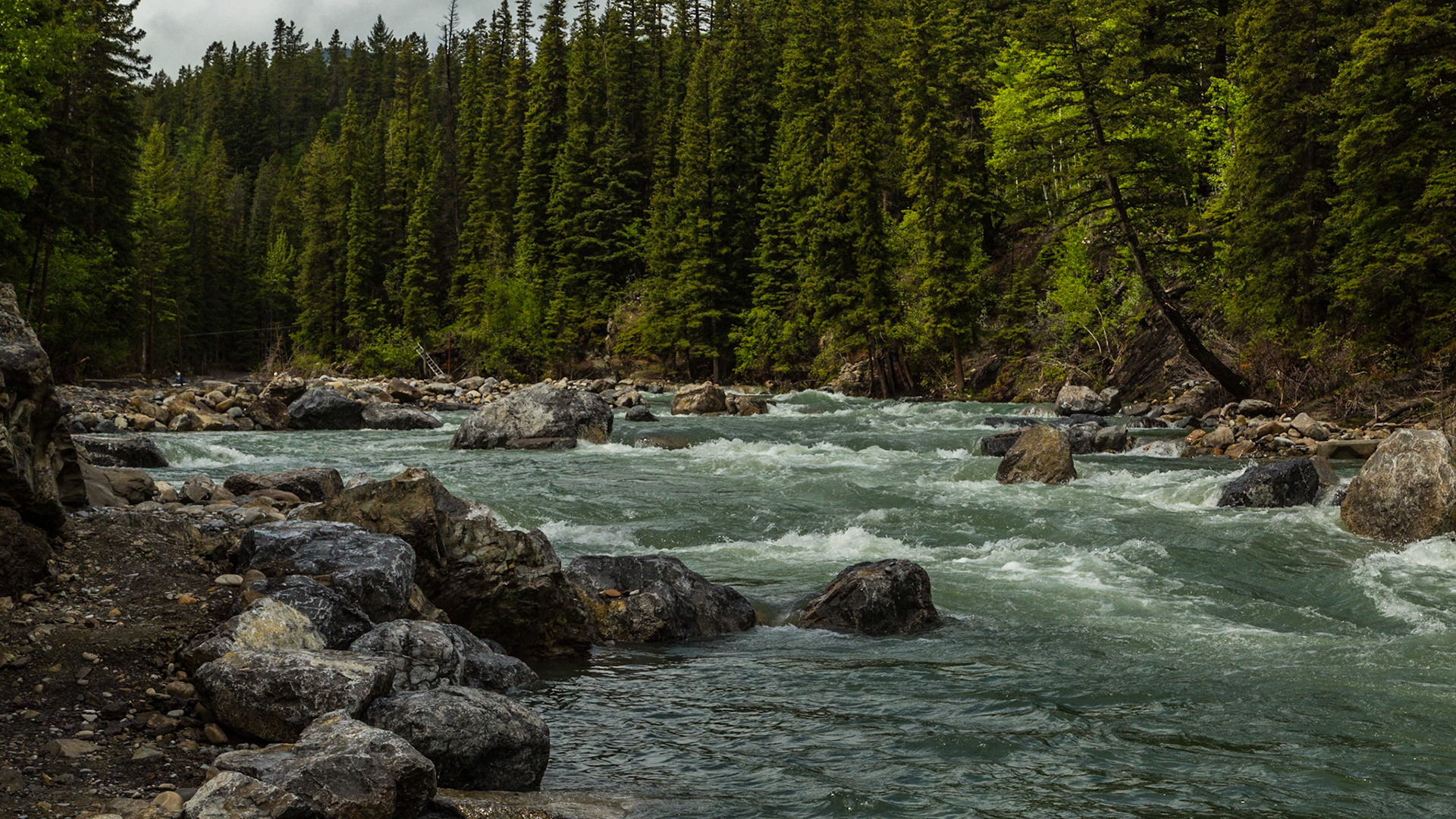 On Sunday, we made it to Canmore, AB, where we were to stay two nights at a Holiday Inn. Before the trip, I had thought a drive into Calgary may be interesting - to get a sense for the city. Mark didn’t show interest in the city and I didn’t press the idea. Monday morning, we decided to drive back through the grand views along Highway 40. There was no specific plan for the entire day, which leaves opportunity for discovery. Our first stop was a little park on the Kananaskie River. It seemed to sometimes have kayak competitions. On this day, there were a couple of guys practicing their skills. A woman on the shore thought they would be thrilled with the attention we were giving them. Most of my time there was spent making video clips.