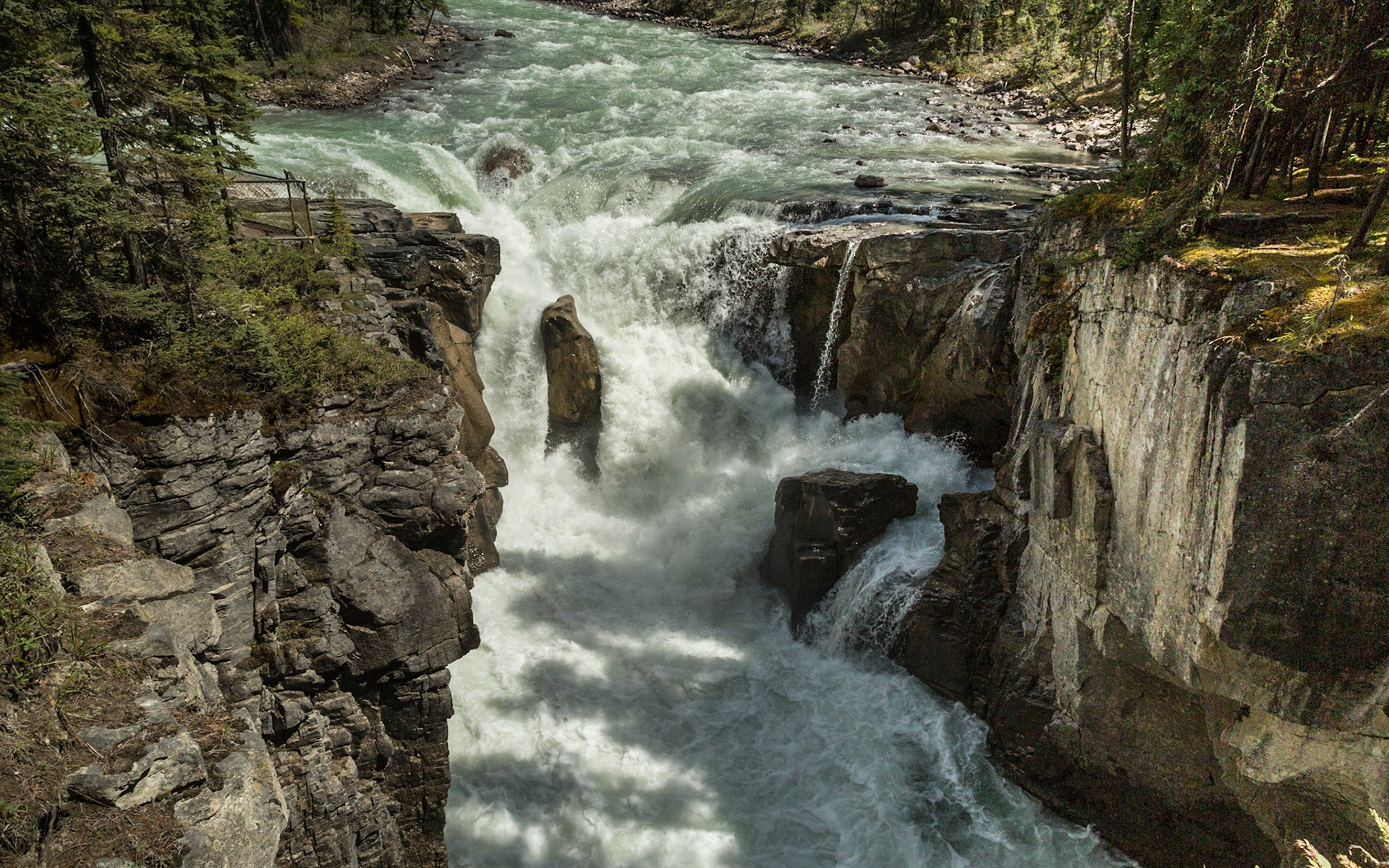 Our next turn off Icefield Parkway was at a lodge, restaurant and gift shop at Sunwapta Falls.  A tremendous amount of water was flowing through a 30 wide “crack” in a rock formation.  The drop is sixty feet, in the form of an upper fall and a lower fall, with the stream soon flowing into the Athabasca River.  Both cascades are spectacular from good waking trails and a bridge over the upper falls.  We walked the area for pictures and video from several perspectives.  Then, we had lunch.