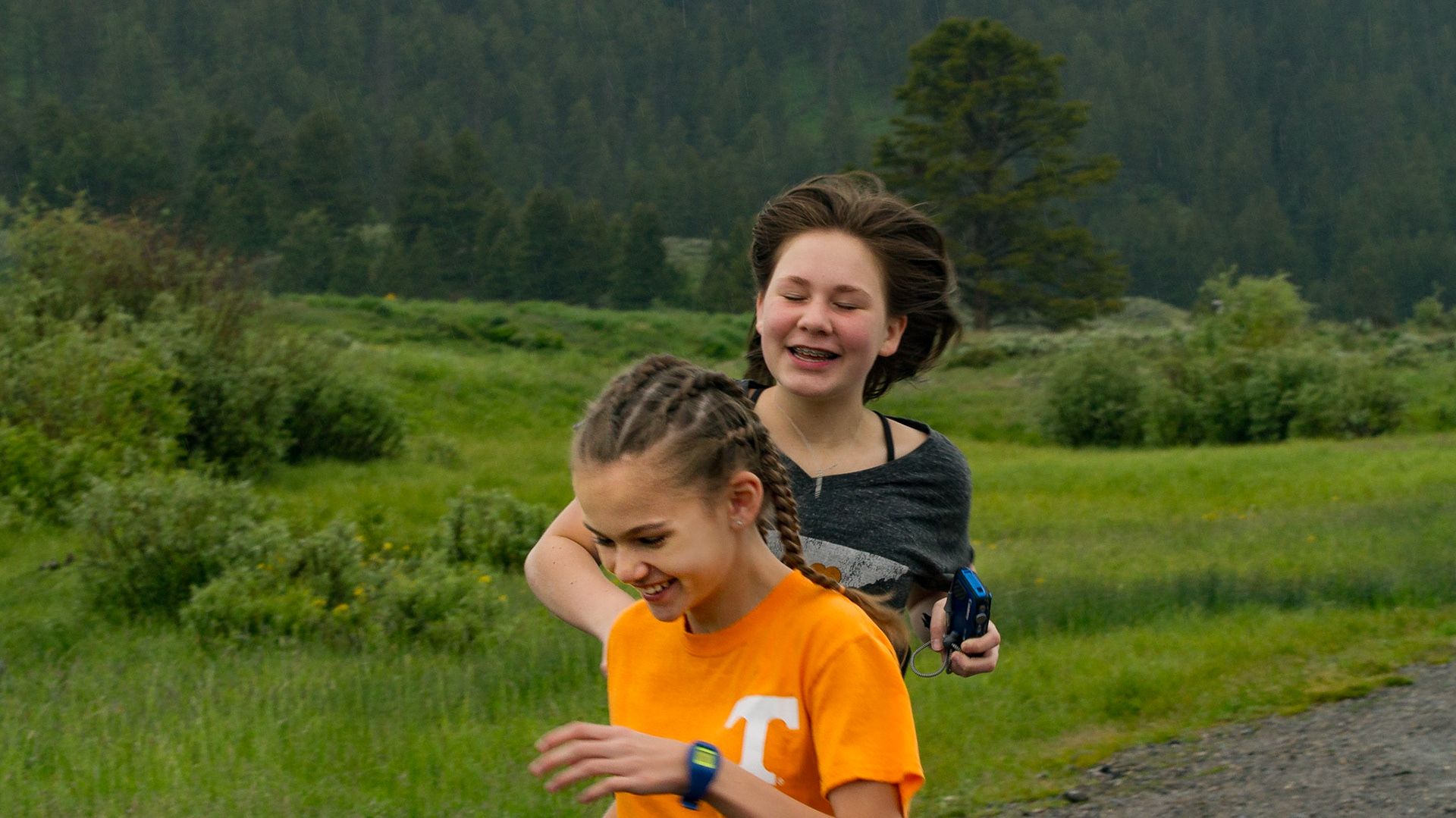 Lamar Valley Day in Yellowstone National Park