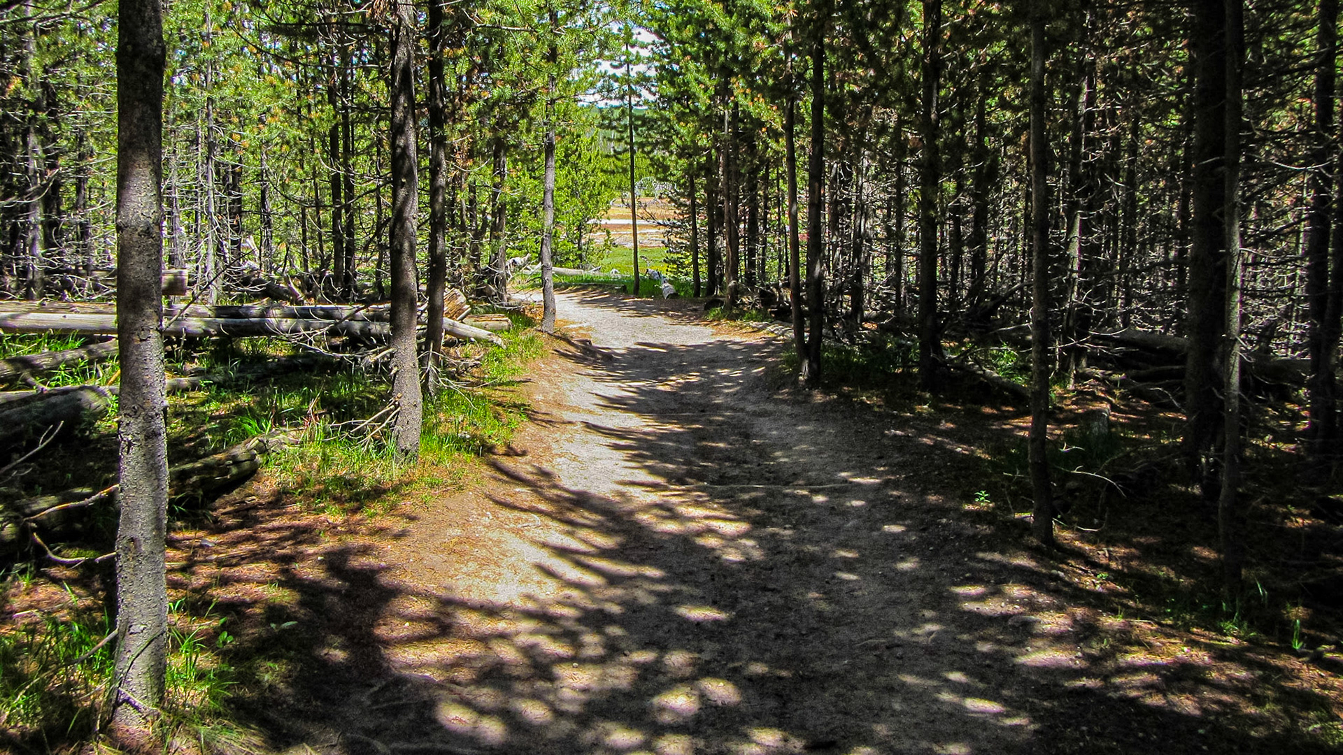 Artists Paint Pots, Yellowstone National Park