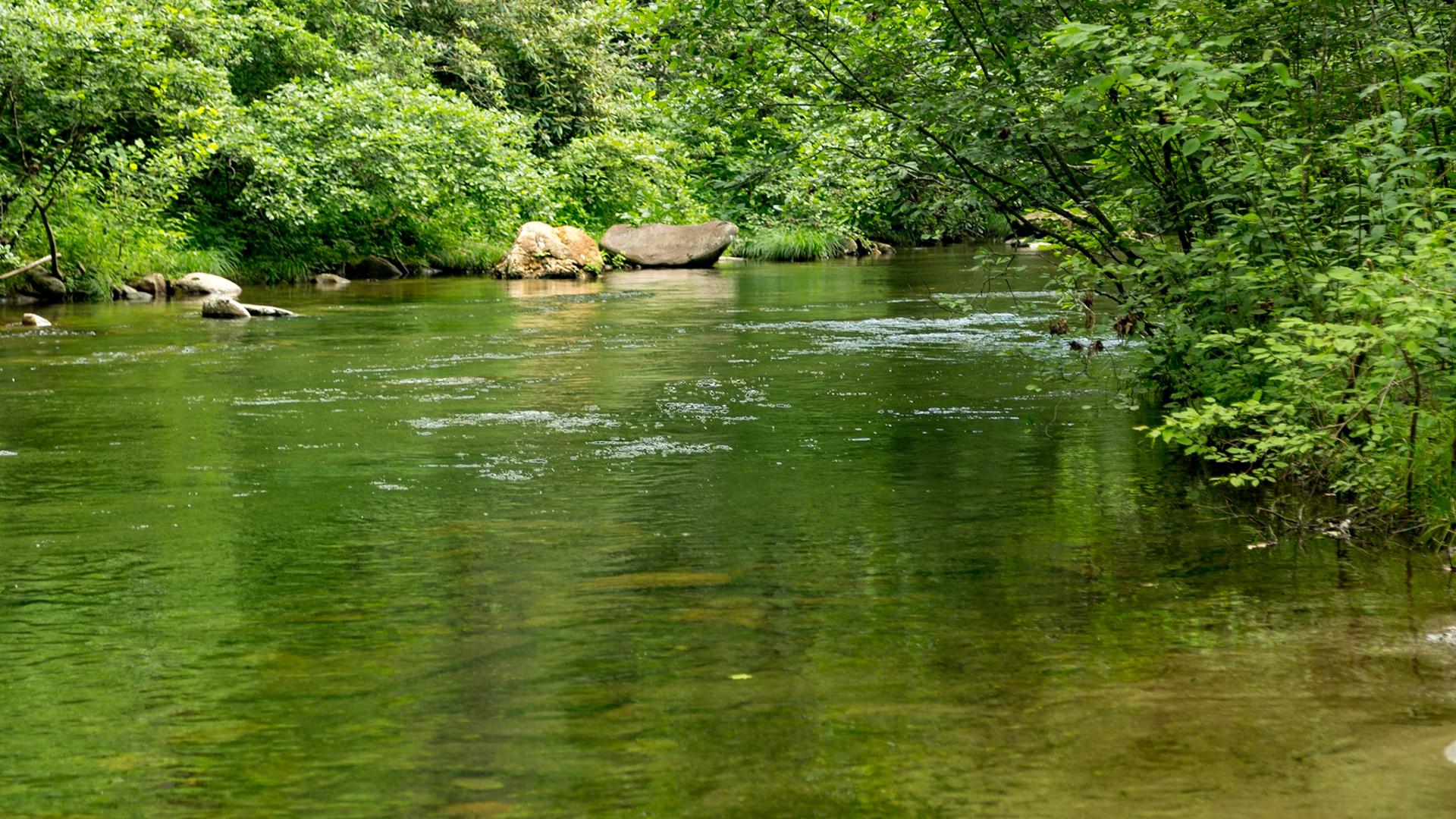 Near Cold Springs Road Intersection