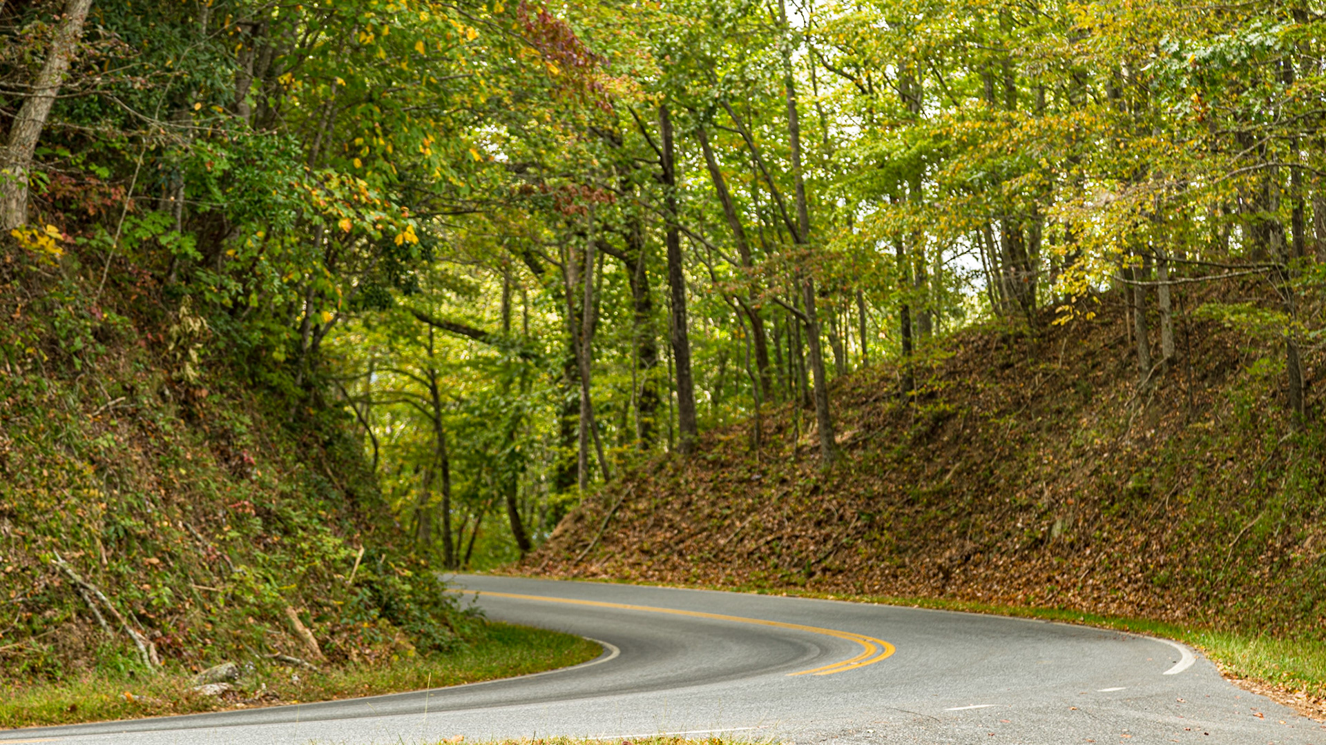 Cable Cove - October 6, 2017 Christie was out of town for her forty-fifth high school class reunion.  I went on a drive for photography, just as fall color started to show.  It was a good day for this kind of trip, with good landscapes and a few vintage cars at First Baptist Church in Farragut, followed by the Cherohala Skyway and Fontana Dam.