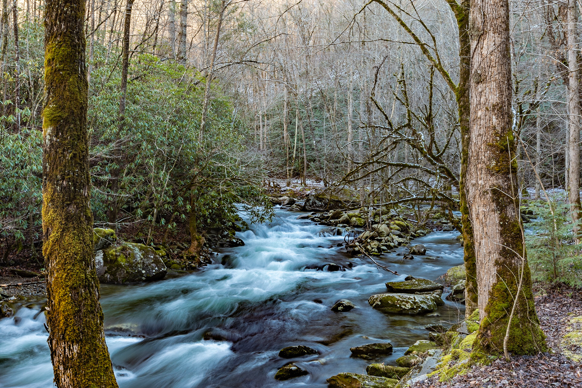 Middle Prong of Little River Near Stillhouse Hollow January 15, 2023