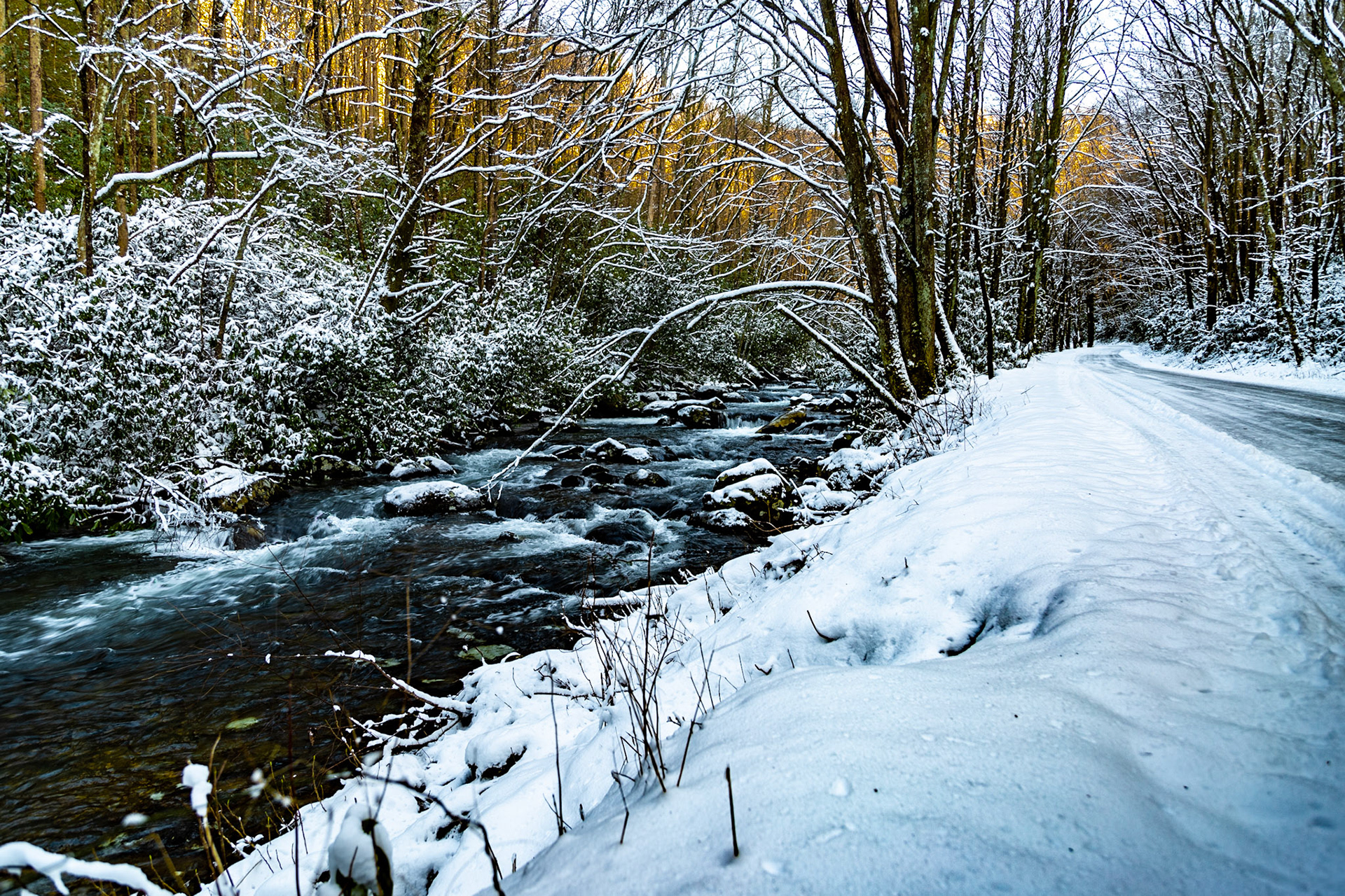 Tellico River and River Road