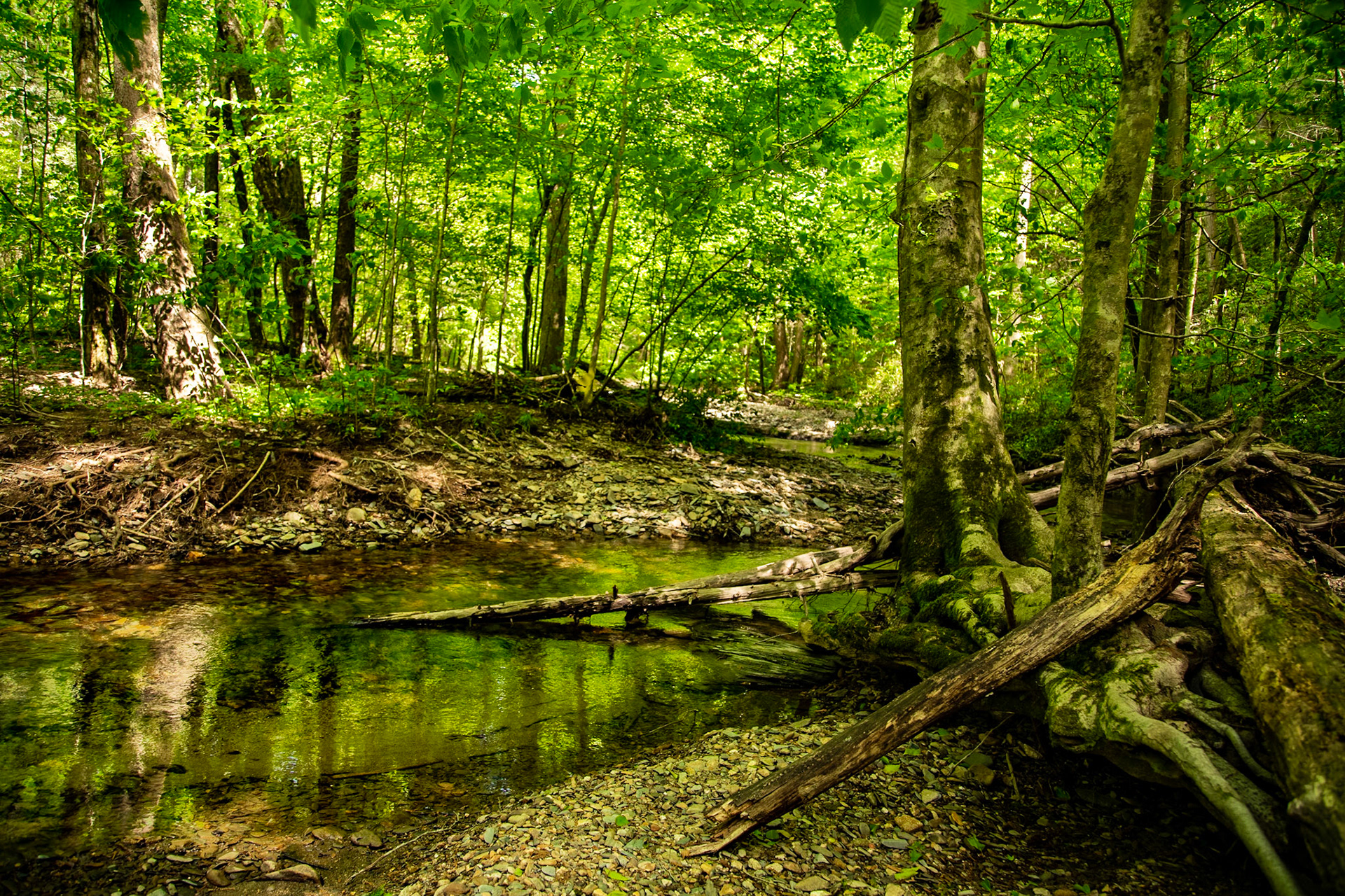 35°28'34.2262" N 84°6'49.5372"