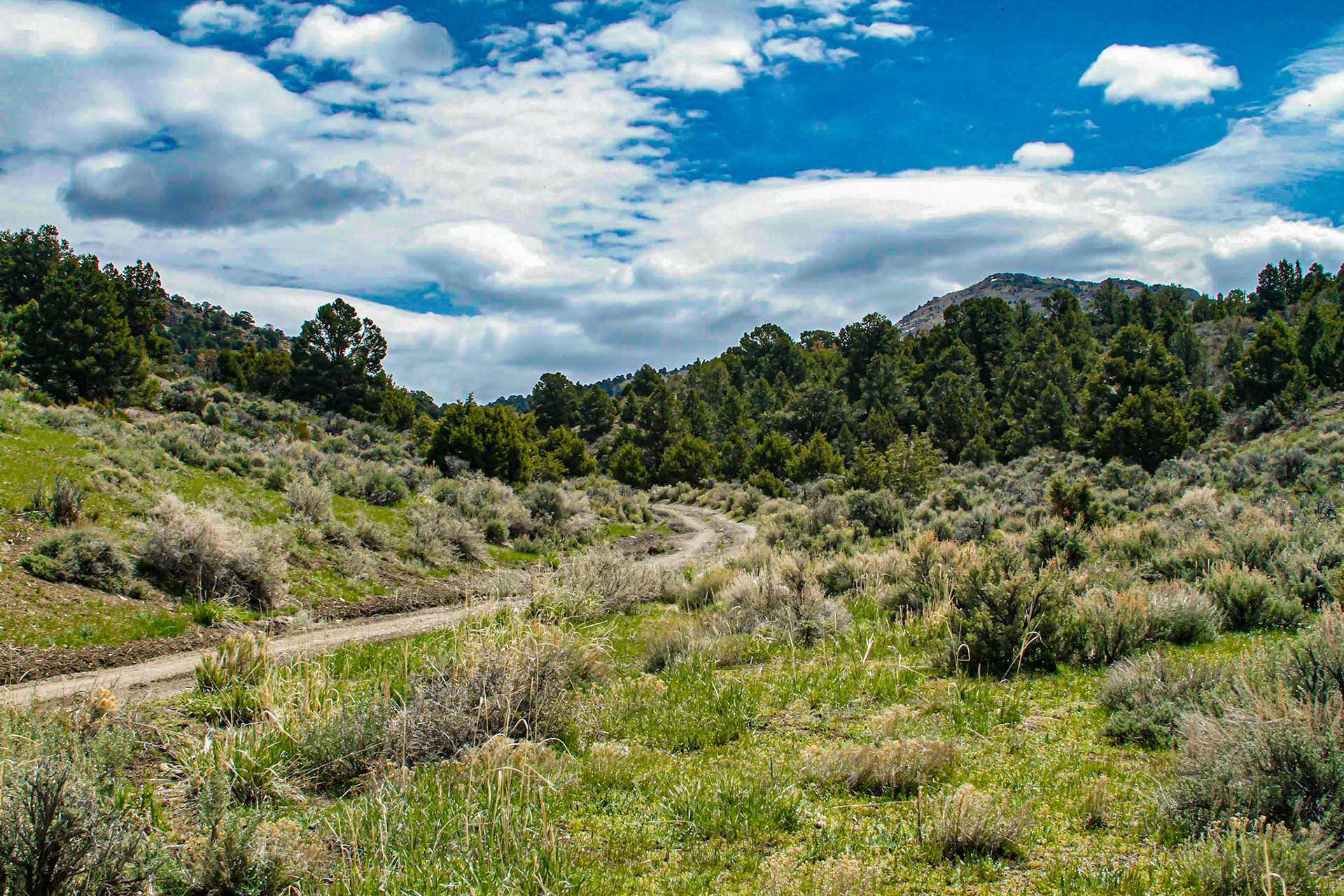Hamilton Nevada, The First Snow Drift that Stopped Me, May21, 2011 - A place that had my imagination from early in researching this tirp was Hamilton.  When I found the road, it was a good dirt route and remained so for a good while.  Rounding a bend, I realized I was near the snow line on another mountain across the valley. After a few pictures from there, I moved on.  Then, I rounded a bend to find a snow drift higher than the car across the road.  Walking back to get a shot of the car and the drift, I noticed a rougher road that seemed as though it may by-pass the drift. I tried it, but soon came to a long muddy portion that I decided I should not try.  Then, I saw a traveled trail back to the main road passed the big drift, but before a drift I probably could have navigated.  I decided not to try it, because climbing back up to where I was may have been problematic.  Later I realized there were probably more drifts before Hamilton.  Later in the day I proved it.