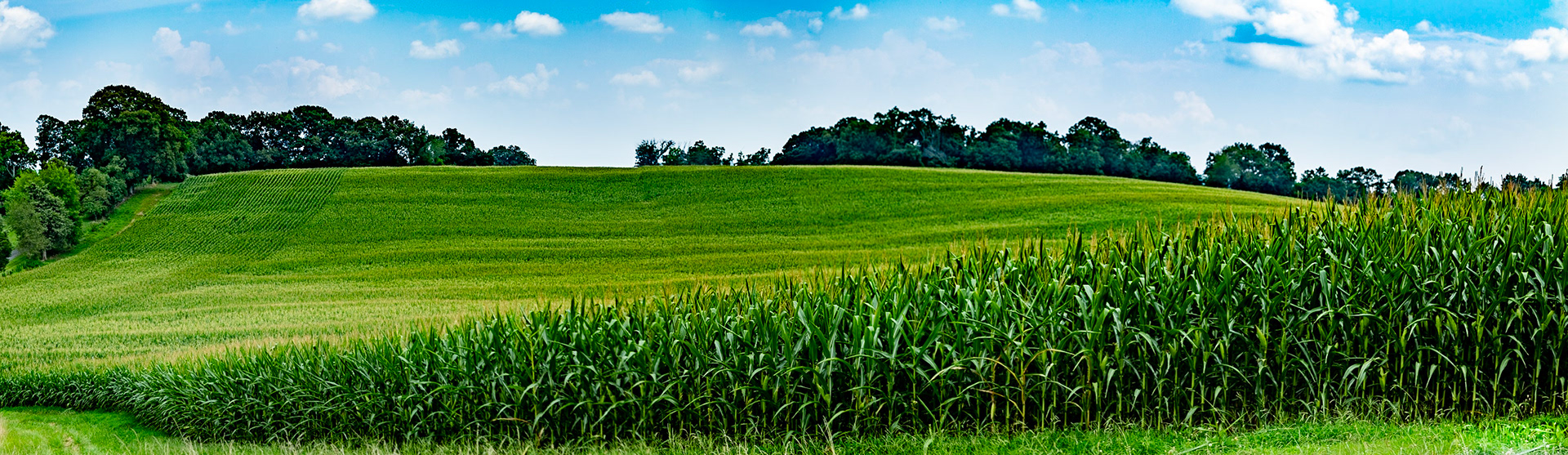 Allen Kirby Road near Knox County Line