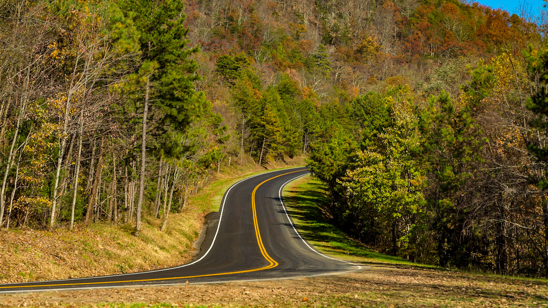 Wallen to Wears Valley