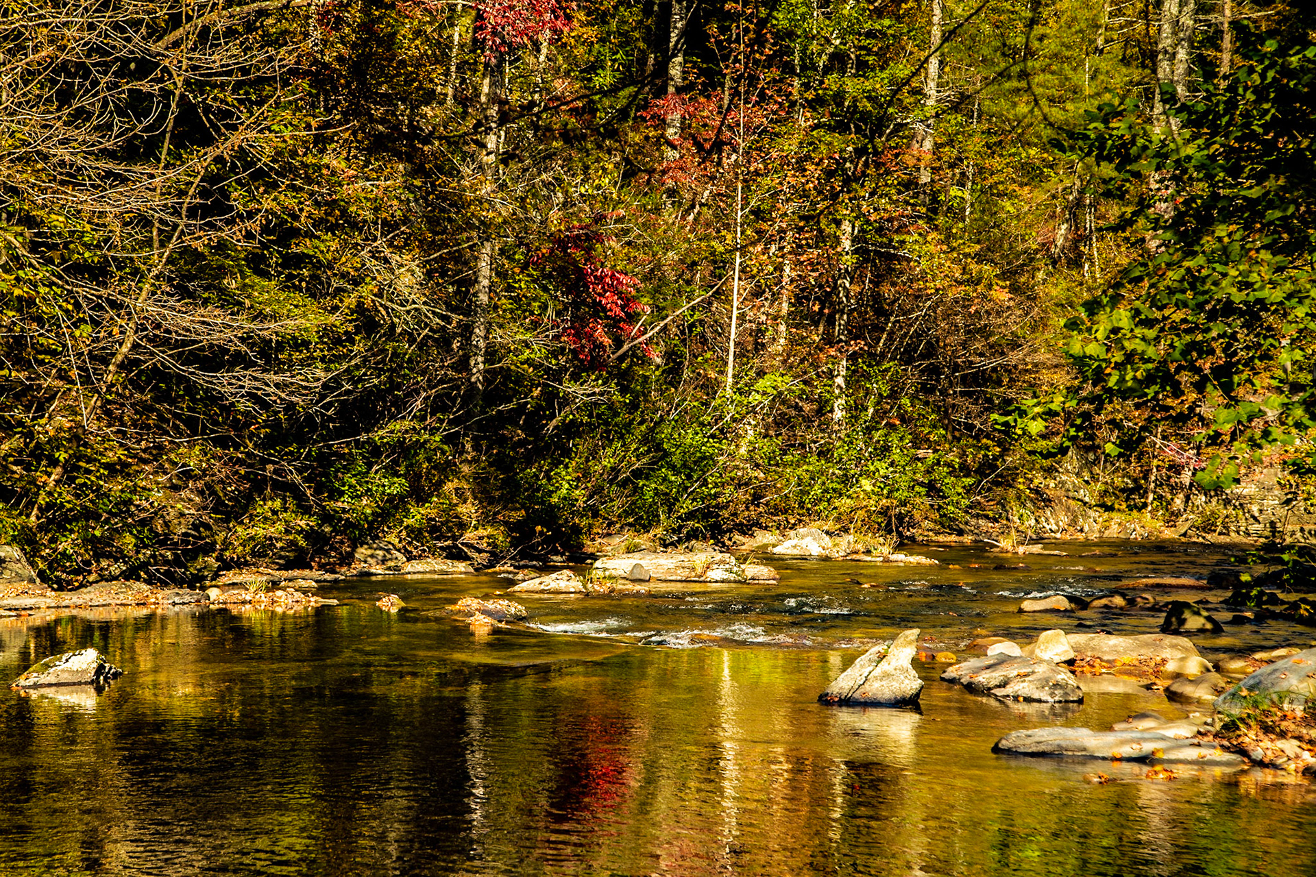 My son and I took a trip up Citico Creek that we have talked about for some time.  It turned out to be a great day for the adventure.