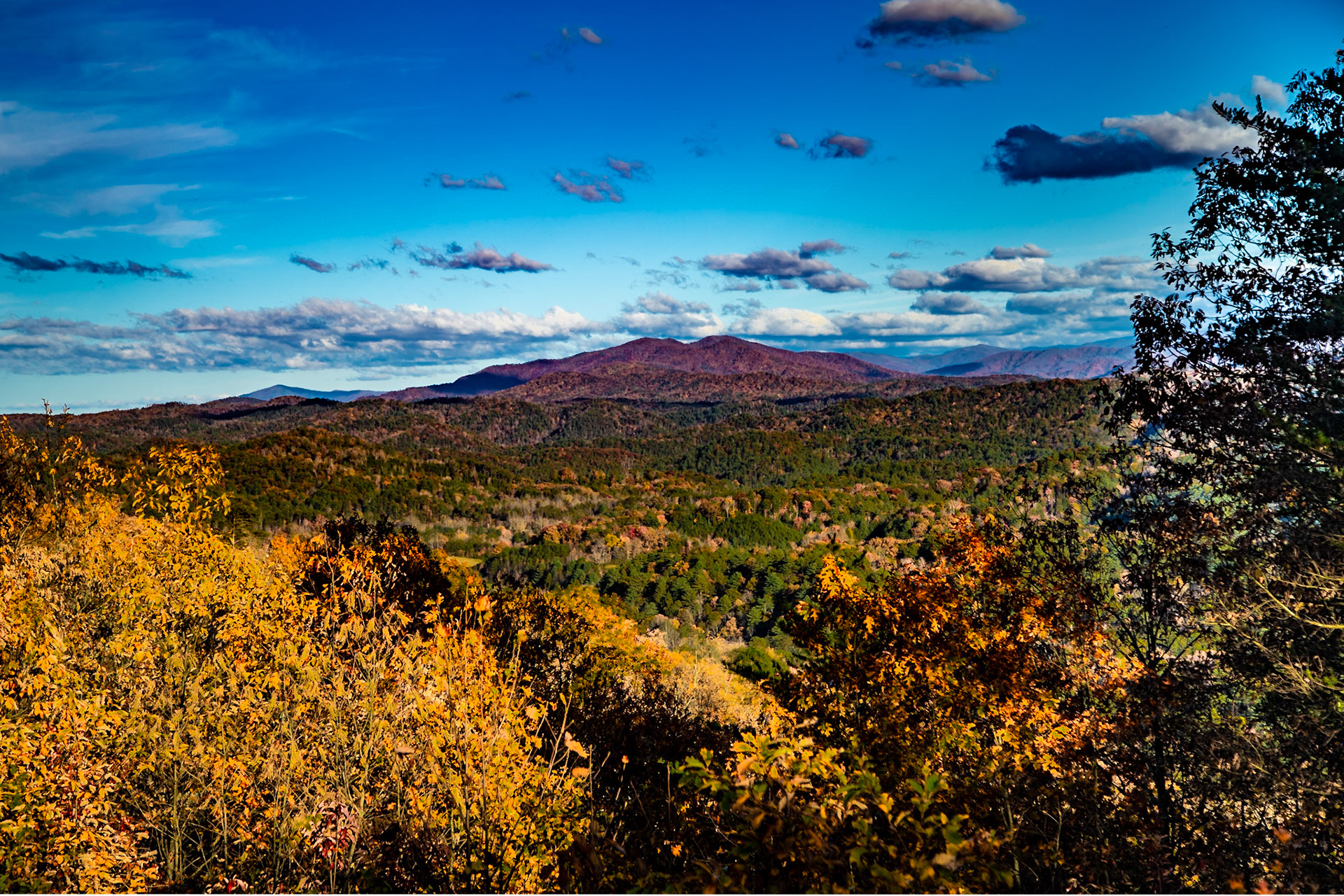 Foothills Parkway Southwest Parking #2; 35°36'15.0355" N 83°58'51.8645" W