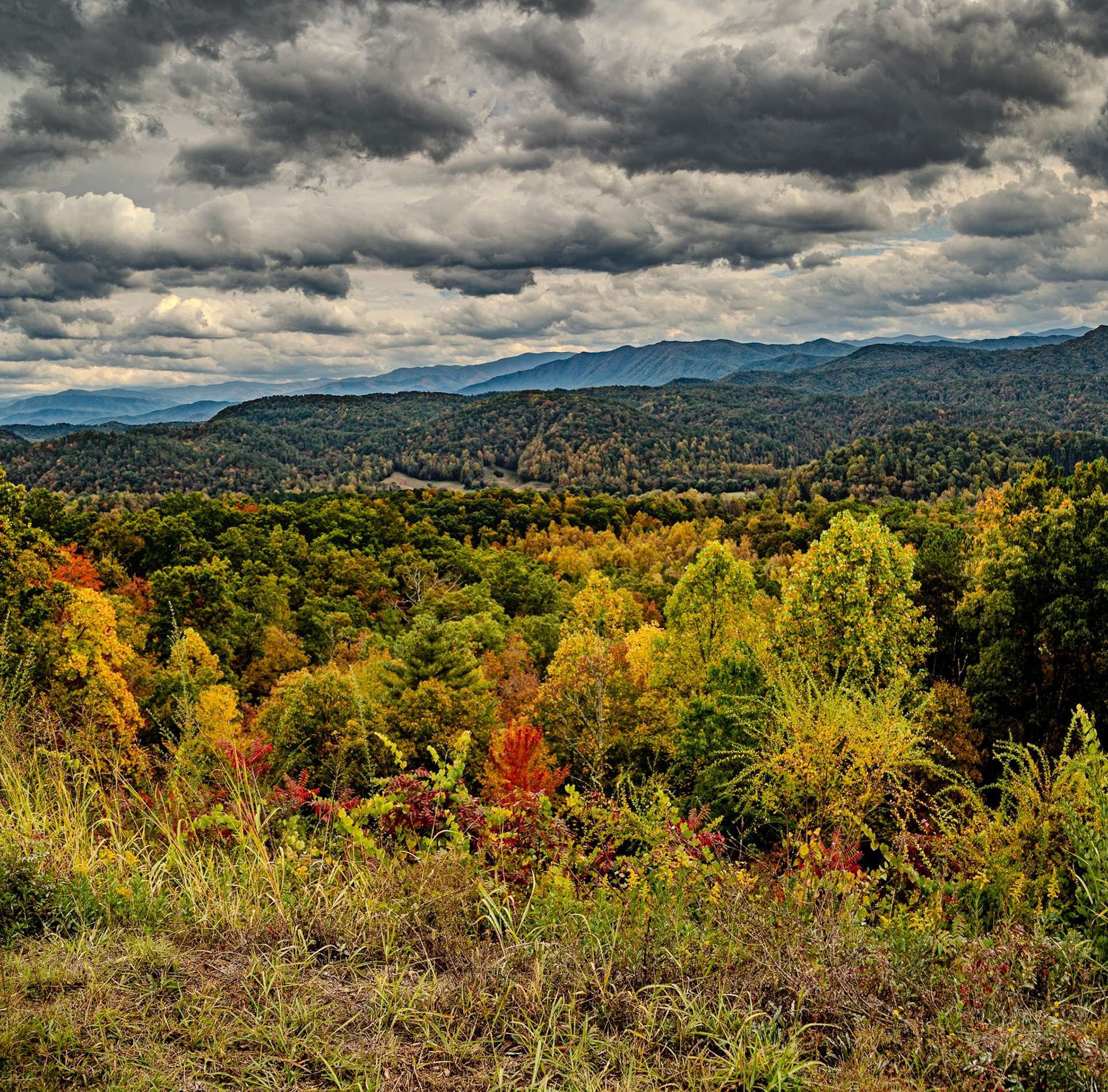 Fall on Foothills Parkway