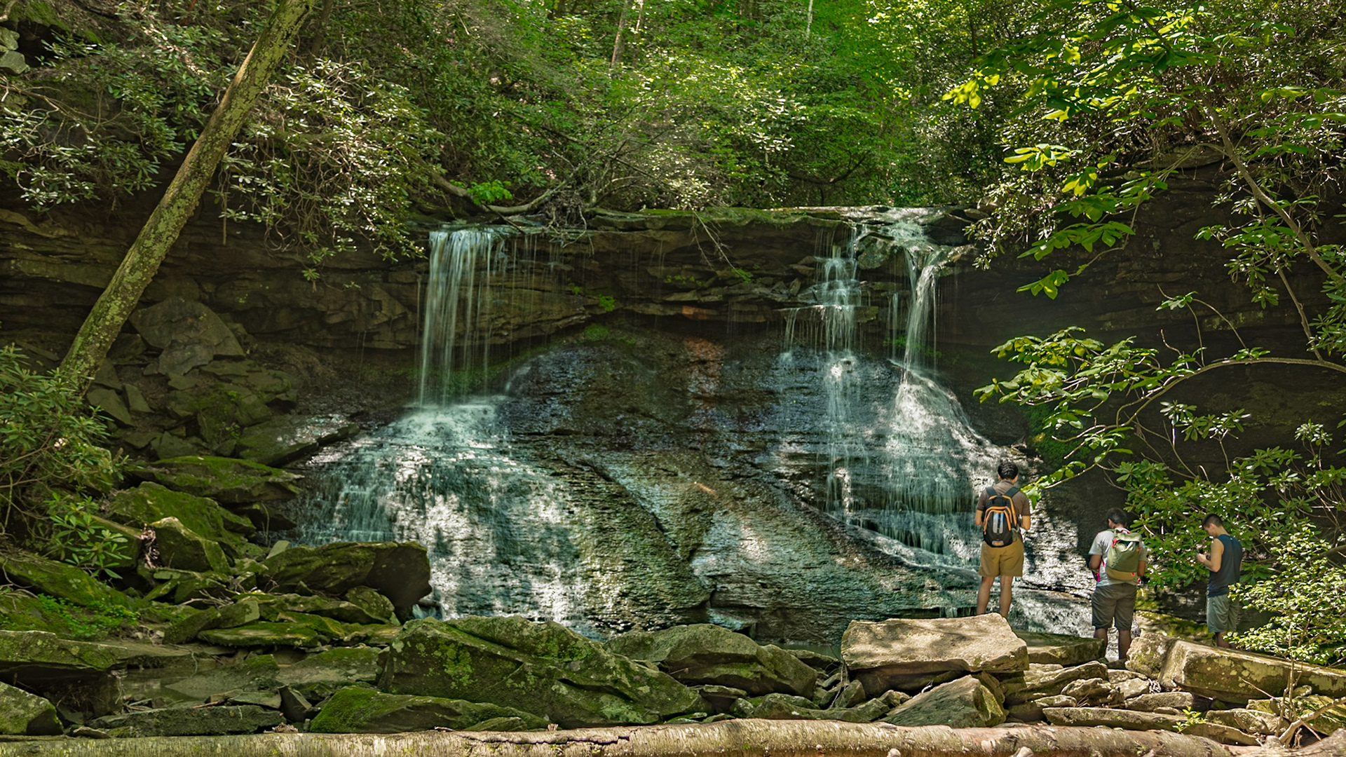 Melton Mill Branch Waterfall