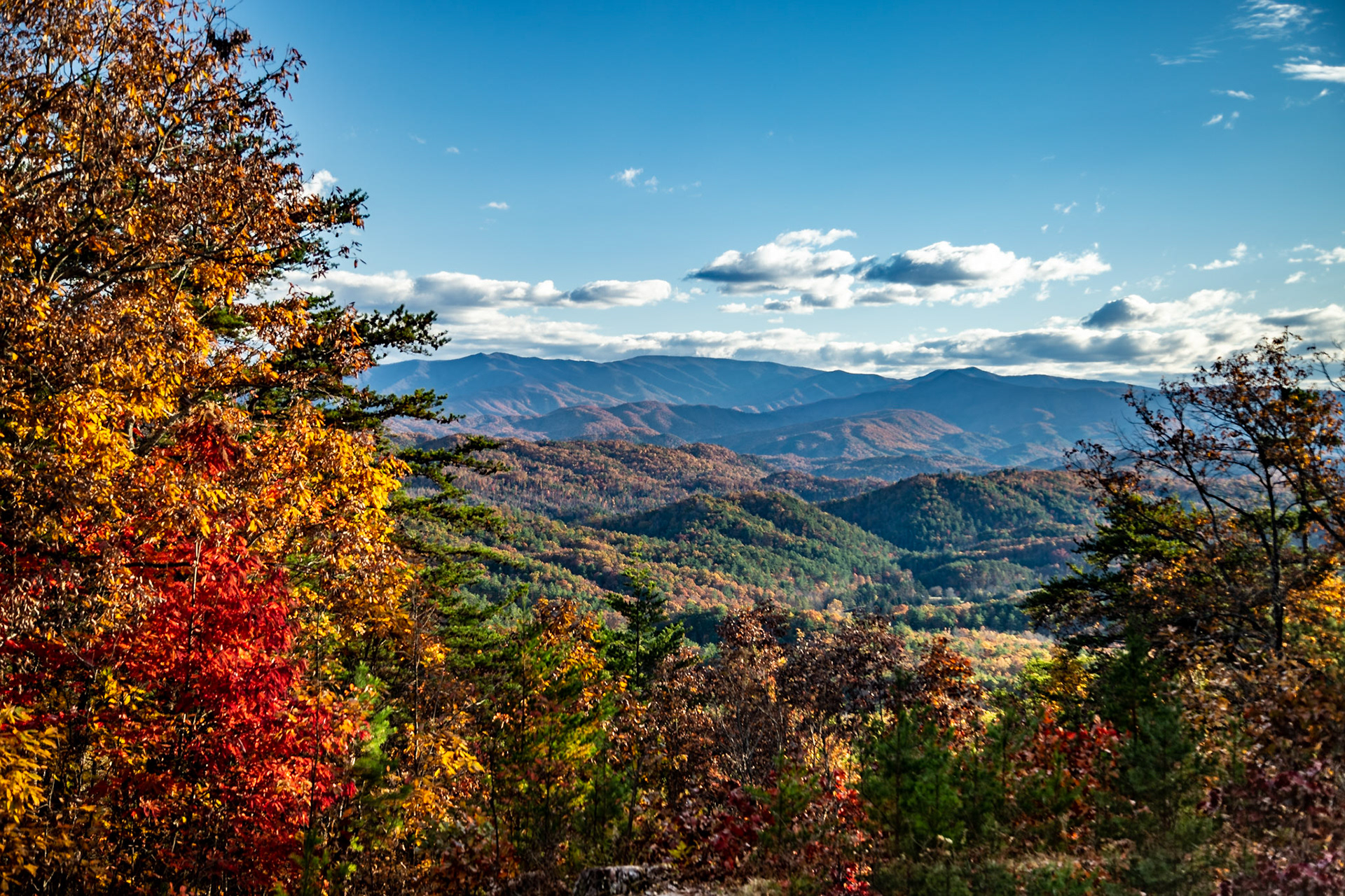 Foothills Parkway Southwest Parking #2; 35°36'15.0355" N 83°58'51.8645" W