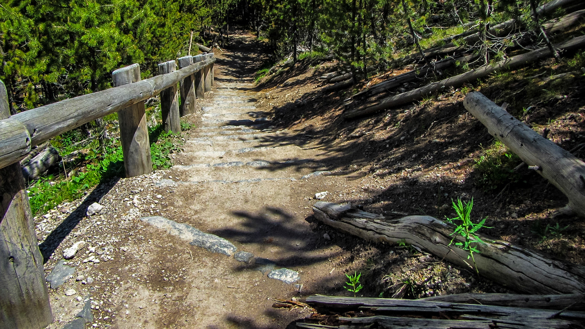 Artists Paint Pots, Yellowstone National Park