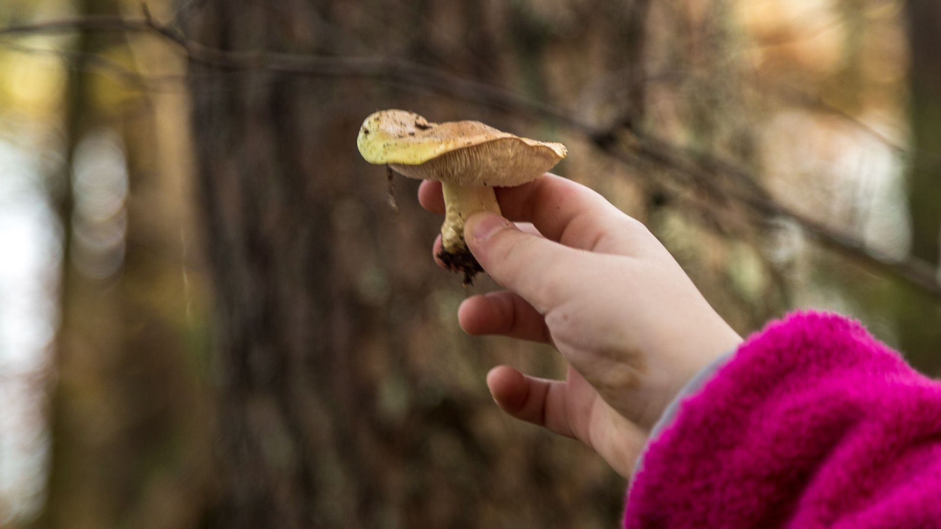 Saturday Morning, when Coit and his family visited.  Raven and I went to the Coytee area of the East Shore, Tellico Lake.  I have thought it would be a good trail to explore since I found the trailhead.  It turns out that the trail I wanted to take was Sinking Creek instead of Coytee, which goes the other way.