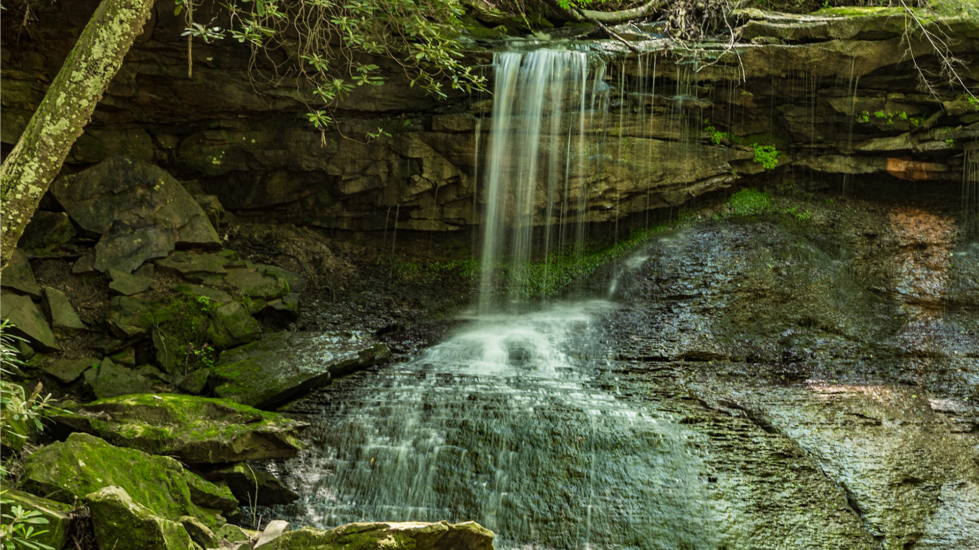 Melton Mill Branch Waterfall