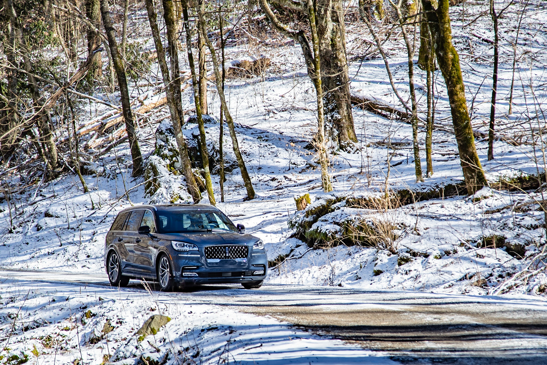 Lincoln Aviator in Cherokee National Forest